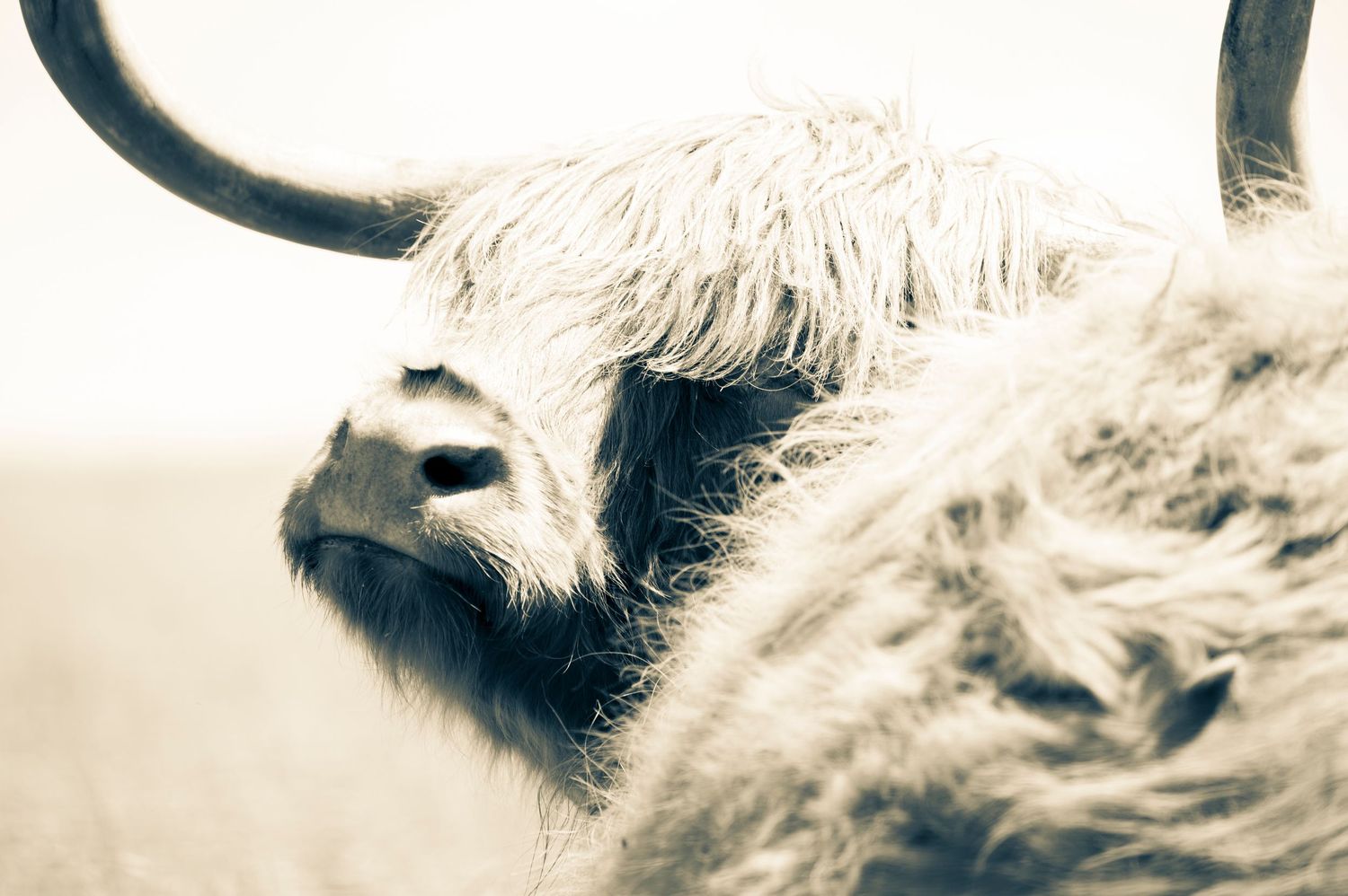 Moooove is all i have to say