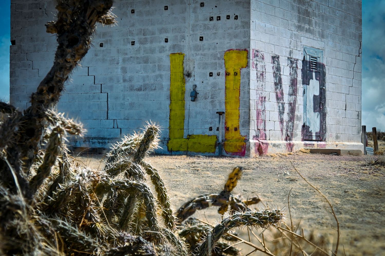 Colorful graffiti spelling LOVE on a weathered concrete wall beside desert cacti in a sandy arid landscape.