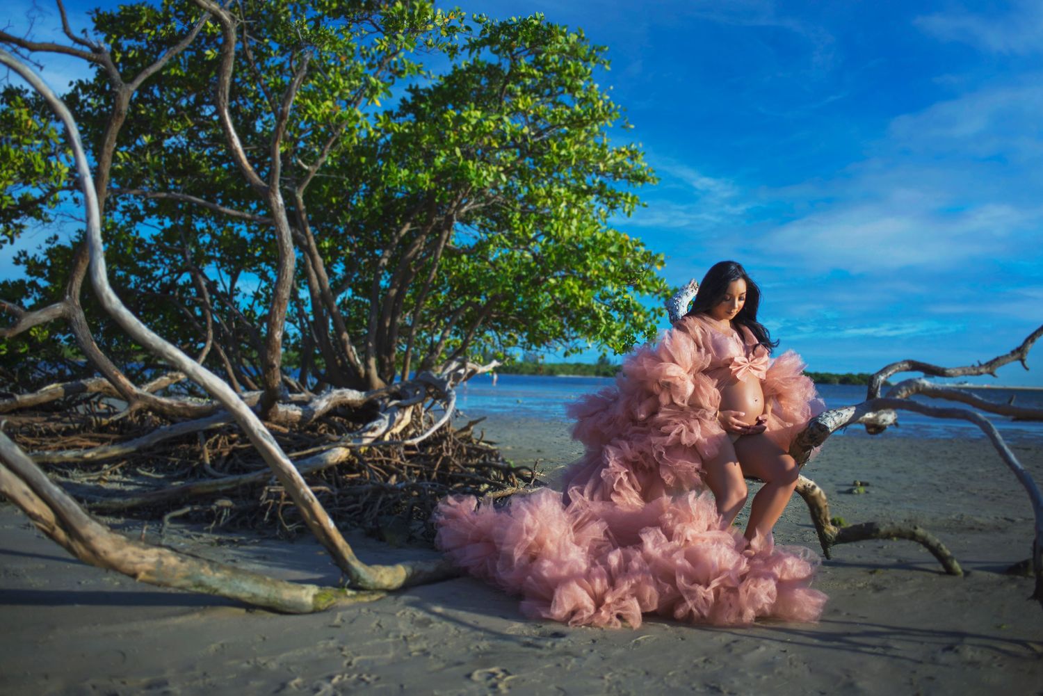 Woman in a voluminous pink tulle gown posing among driftwood and mangrove trees on a beach.
