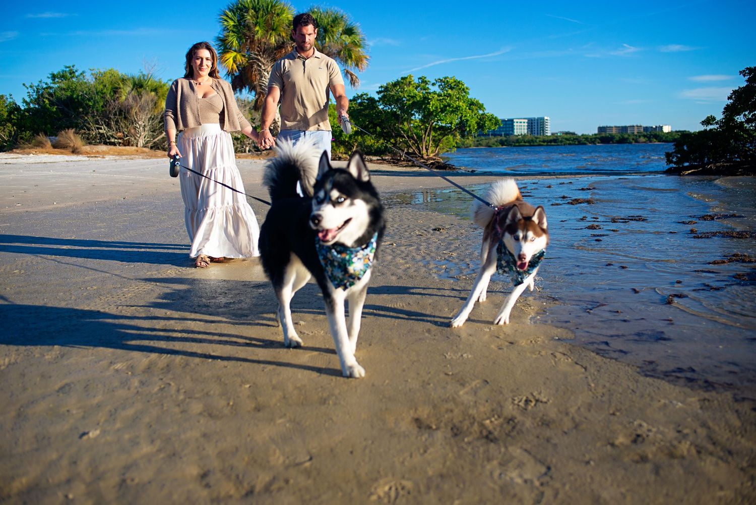 Couple walking two Siberian Huskies on leashes along a sunny beach with calm water.