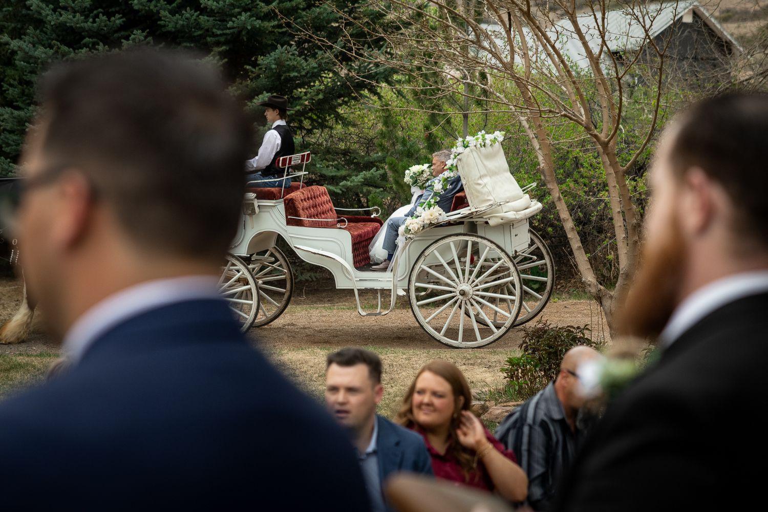 A white horse-drawn wedding carriage arrives at an outdoor venue as elegantly dressed guests watch in anticipation.