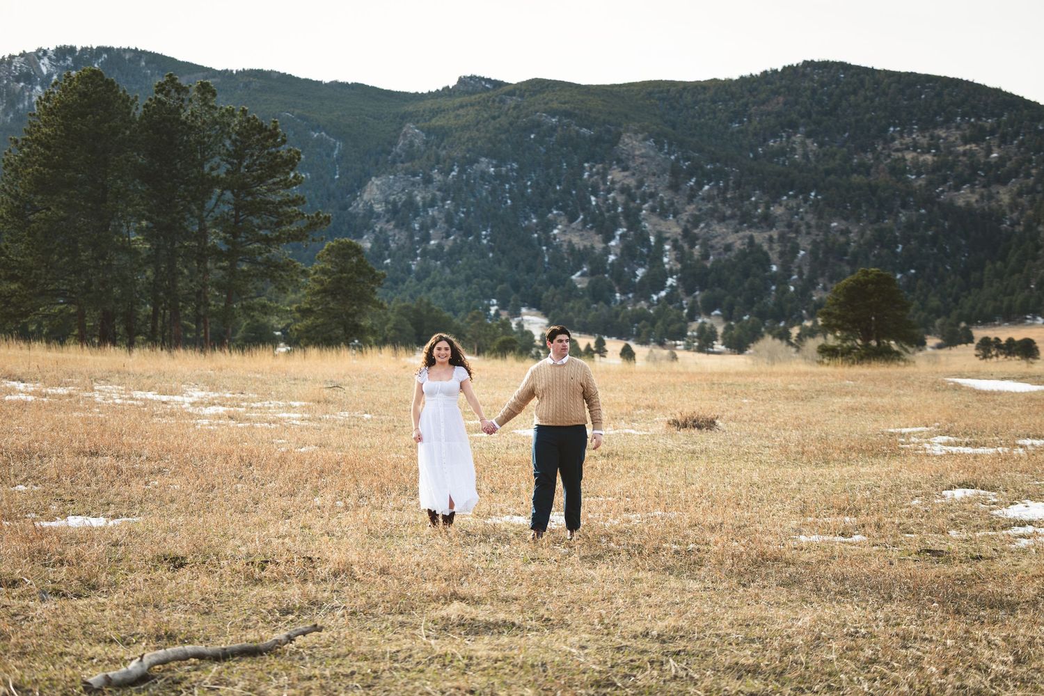 Couple holding hands in a golden meadow with mountain and pine trees backdrop during an outdoor engagement session.