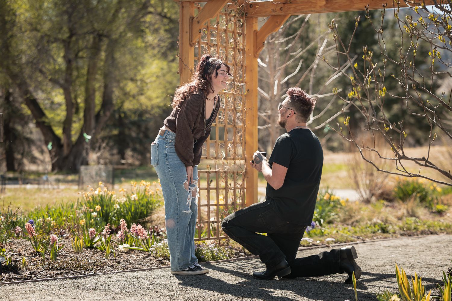Man proposing to woman on one knee under a wooden garden arbor surrounded by spring flowers.