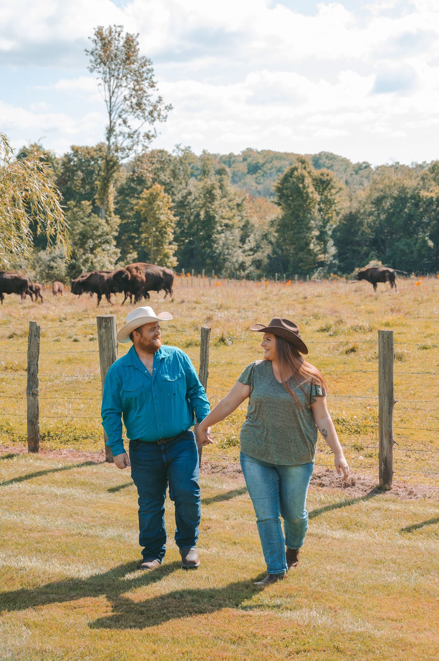 A couple walking hand in hand in a field with buffalo grazing in the background.