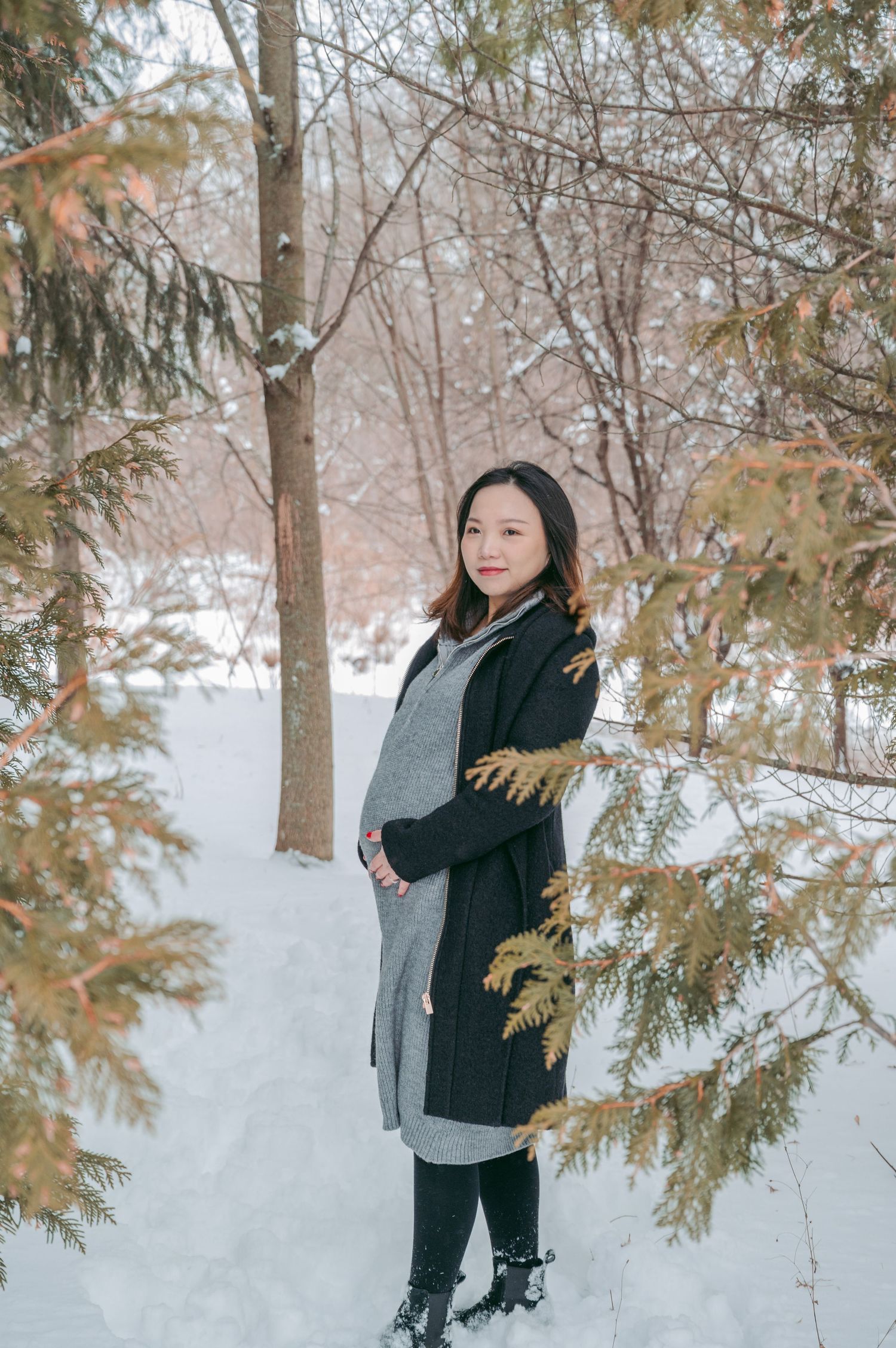 Winter forest scene with snow-covered ground and pine trees framing the composition.