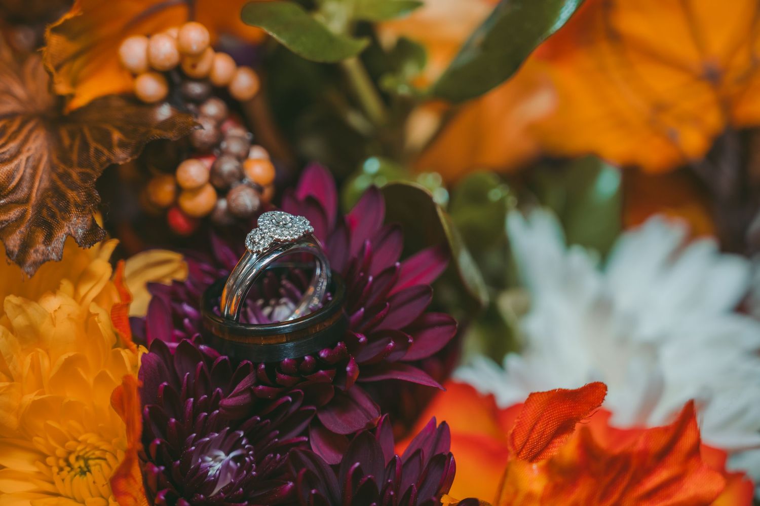 Wedding rings nestled in vibrant autumn flowers including deep purple and orange blooms.