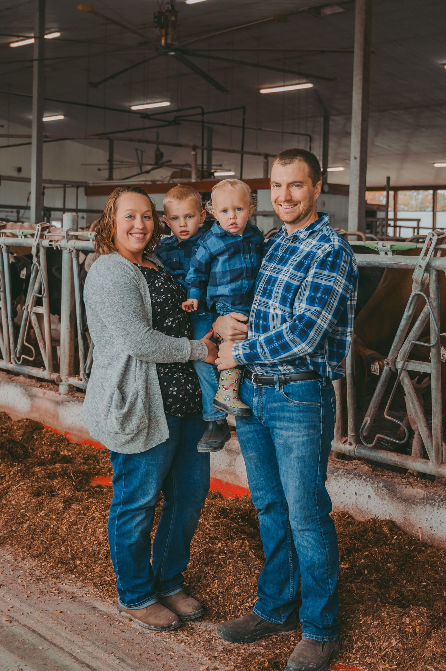 Family portrait in a dairy barn with parents holding their young children among cattle stalls.