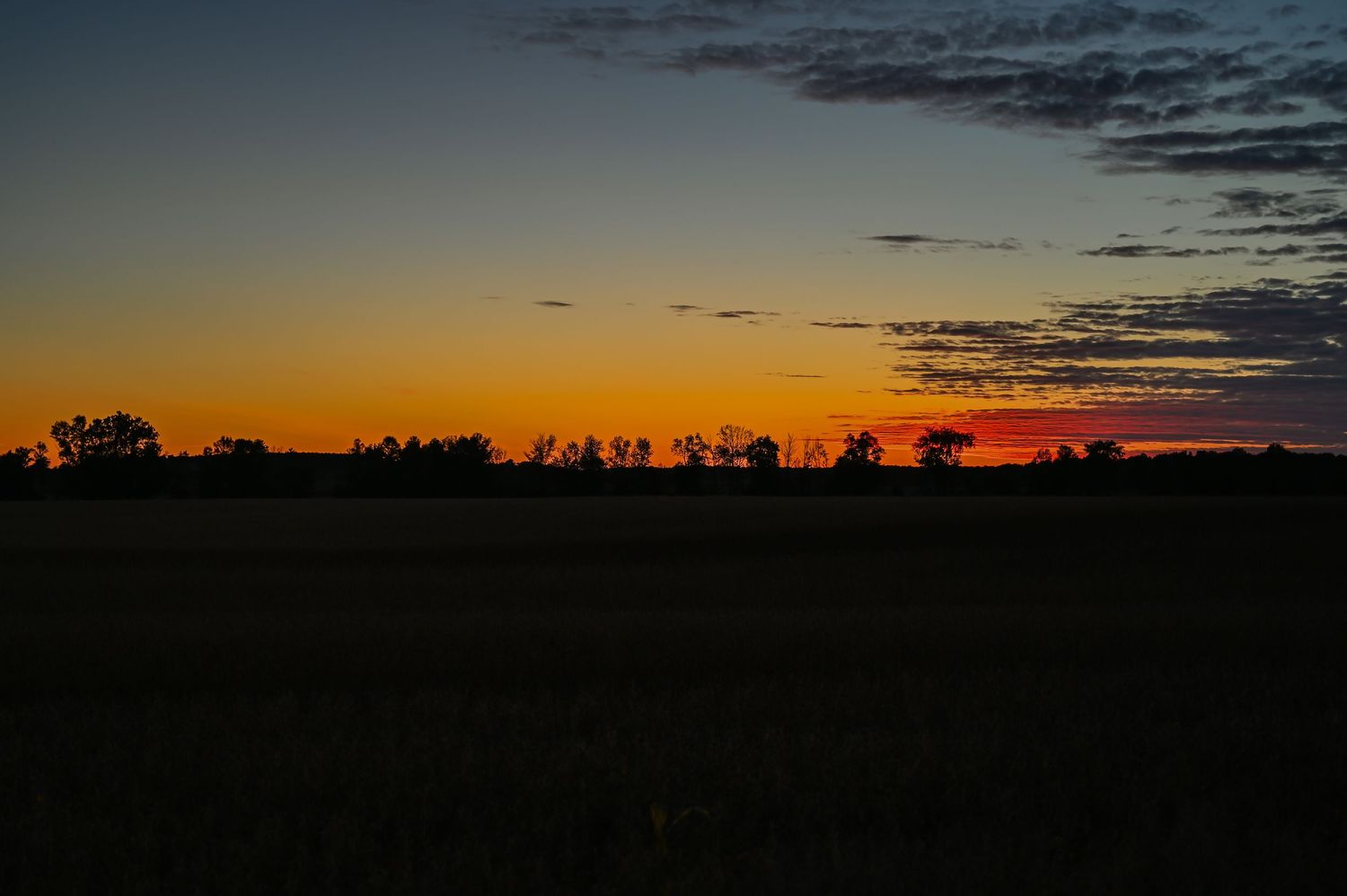 Vibrant orange and blue sunset silhouettes trees over a flat rural field in a stunning twilight landscape.