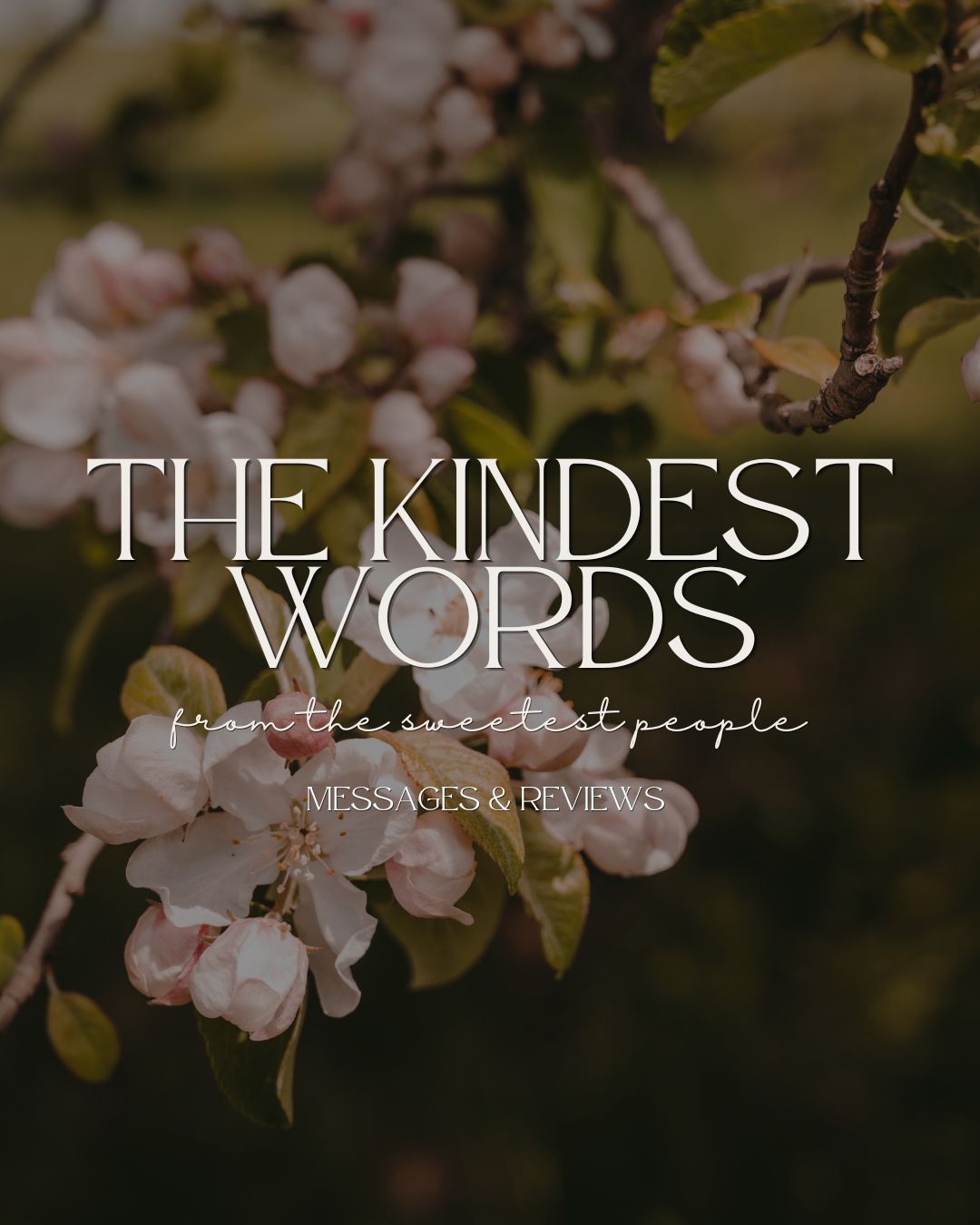 Floral background with pink cherry blossoms and text reading The Kindest Words from the sweetest people.
