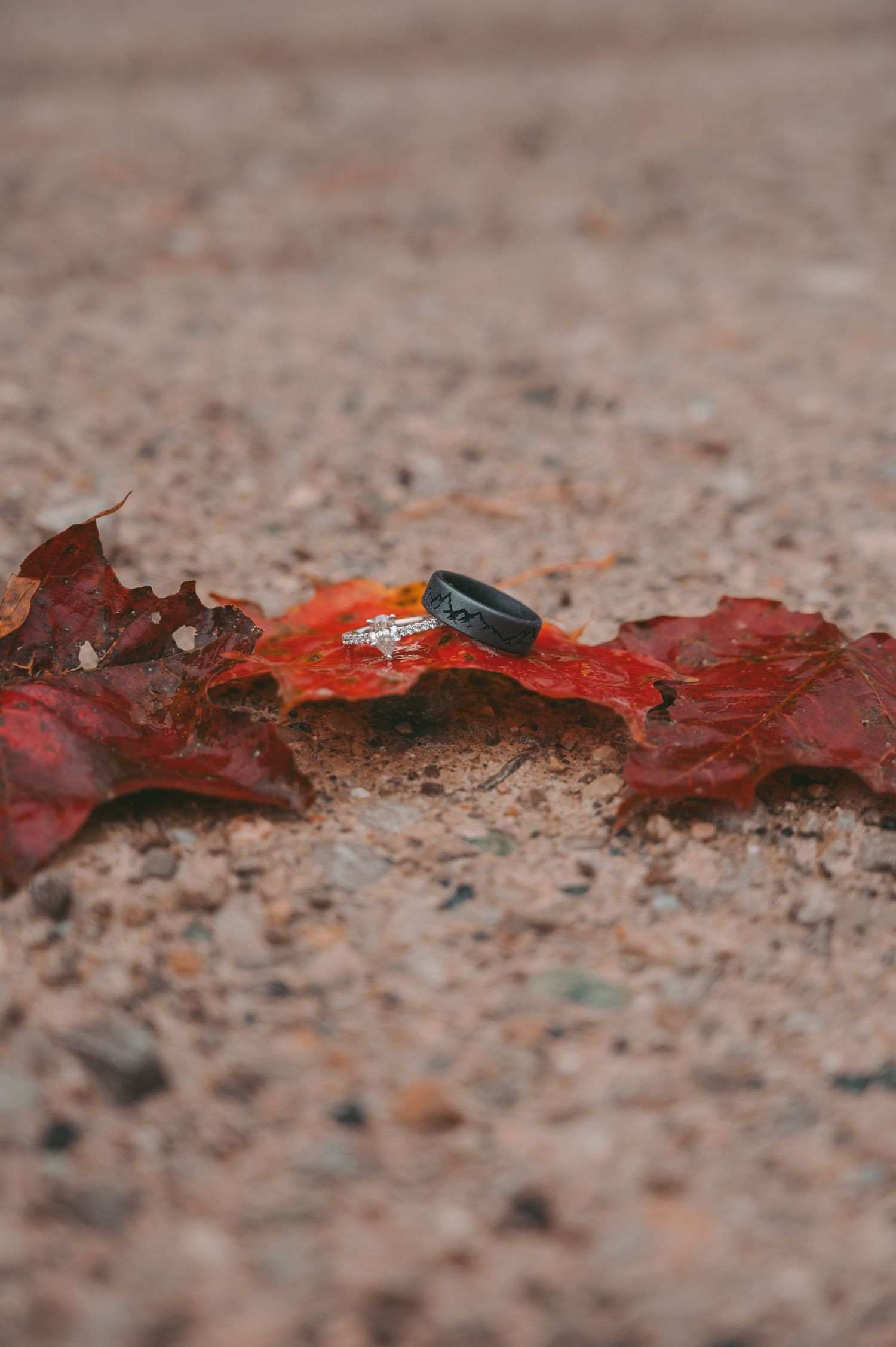 A close-up of engagement rings placed on red autumn leaves against a textured surface.
