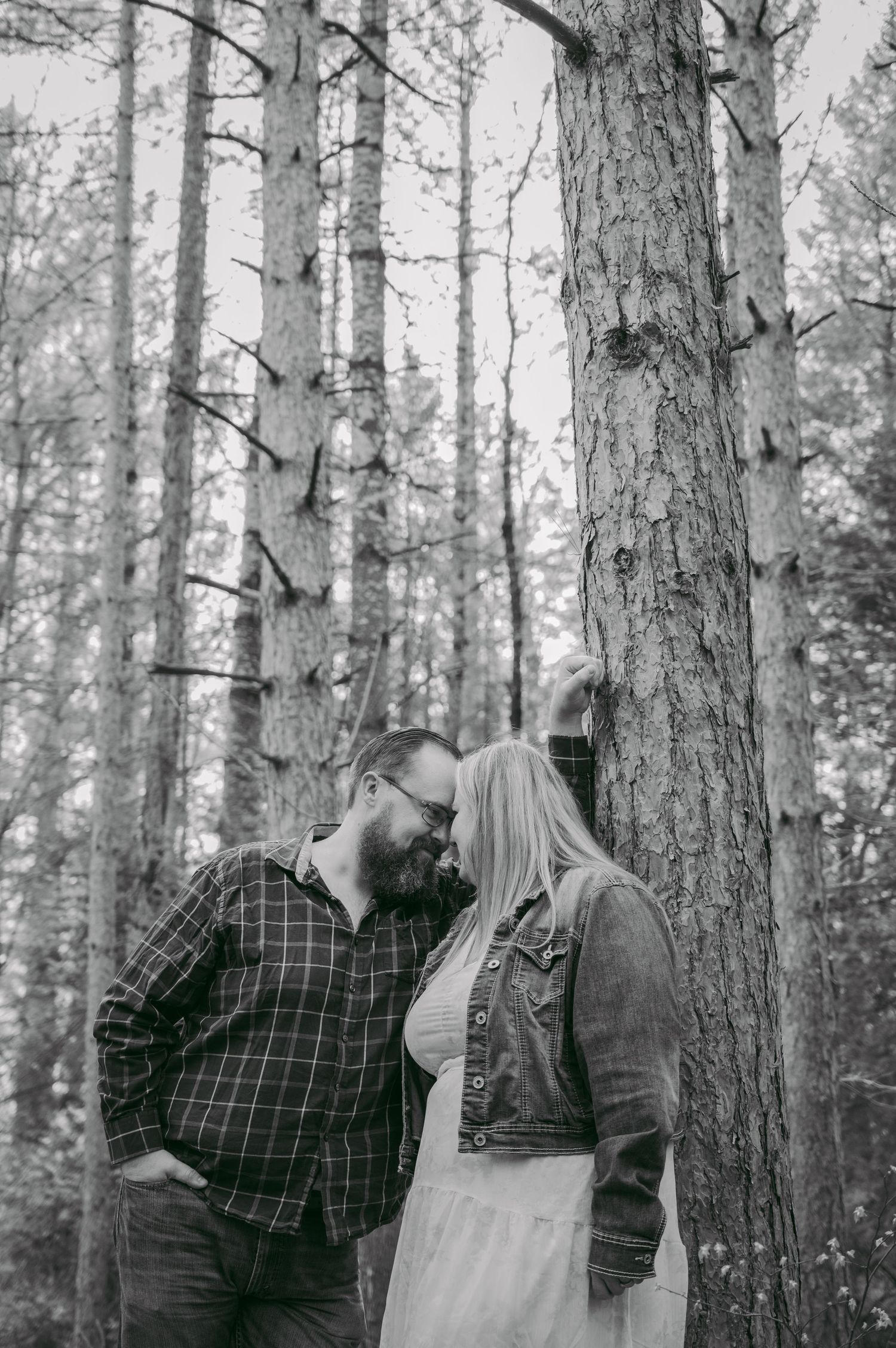 Black and white portrait of a couple sharing an intimate moment among tall pine trees.