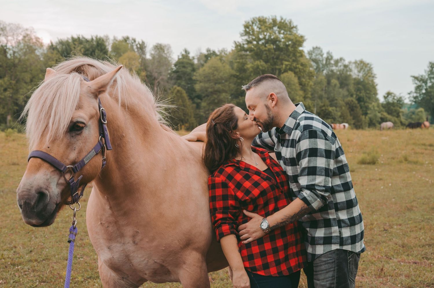 A couple sharing a romantic moment beside a brown horse in a sunny field.