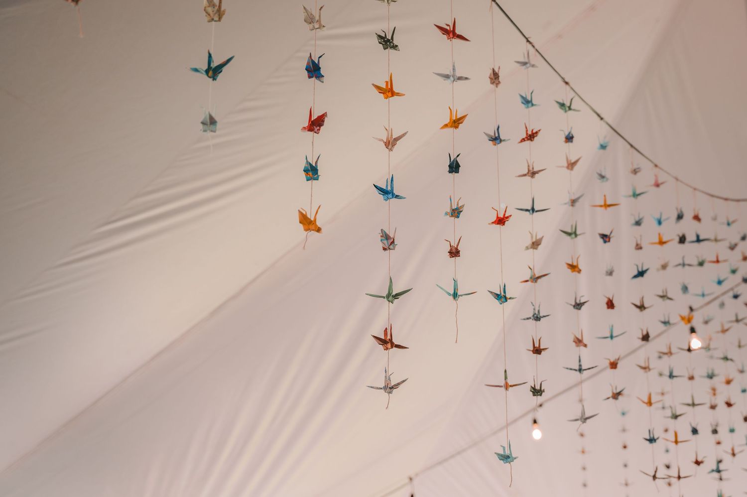 Colorful origami paper cranes hang from strings against a white ceiling creating a whimsical floating art installation.