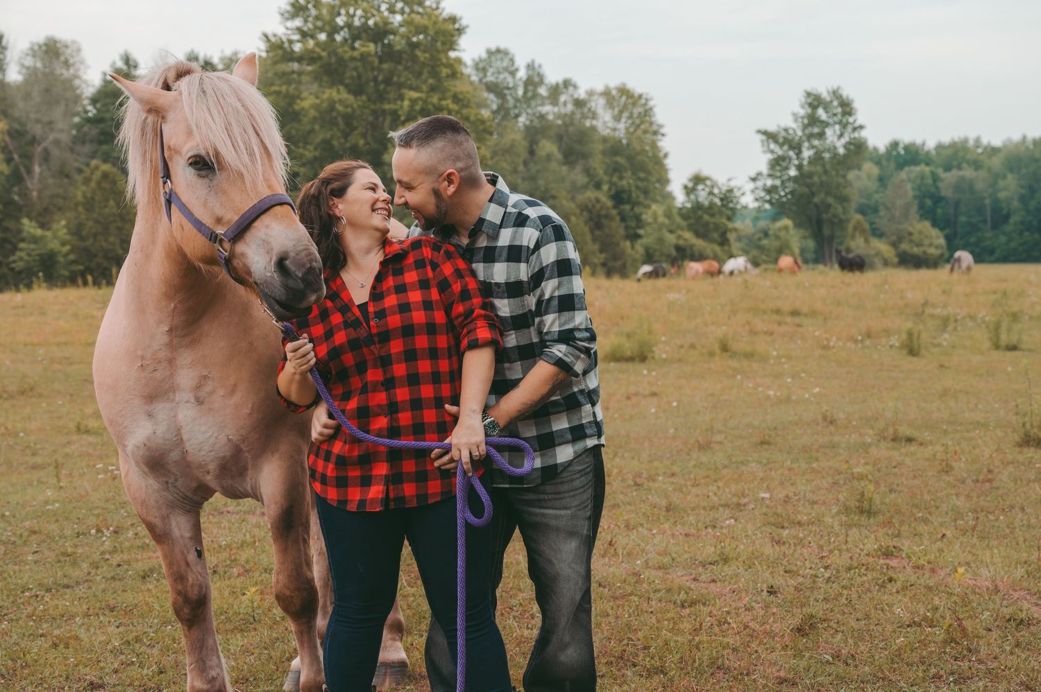 A couple sharing an intimate moment in a field beside their horse during a golden hour photoshoot.