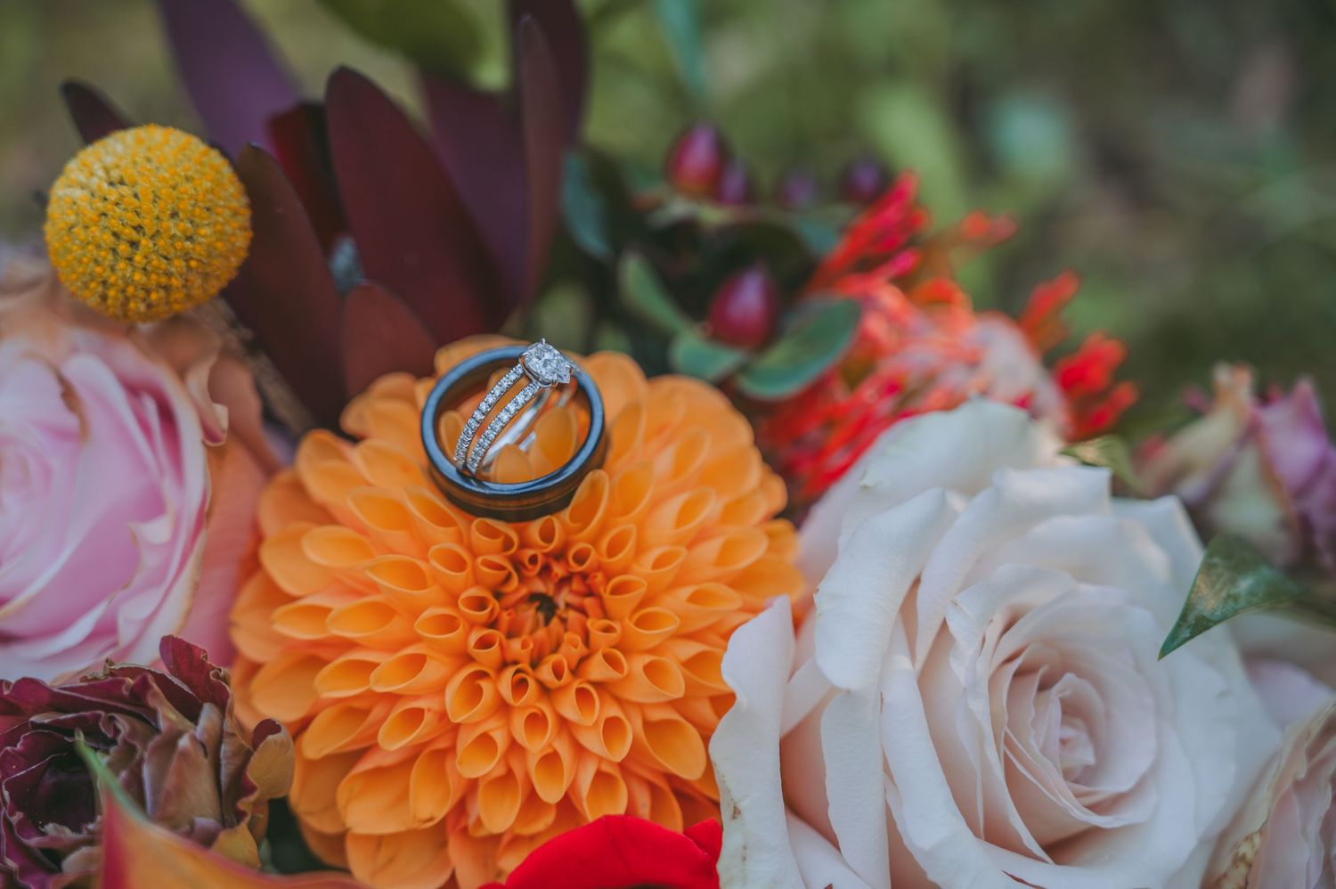 Wedding rings displayed on vibrant orange and pink flowers in a detailed macro shot.