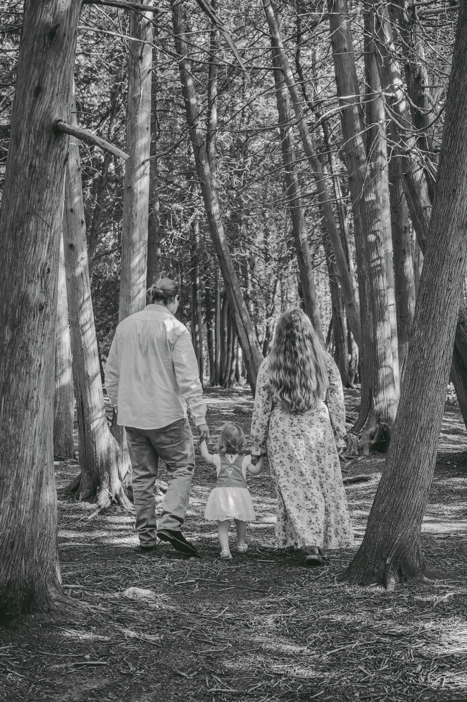 A couple walks with their small child through a serene wooded path in black and white.