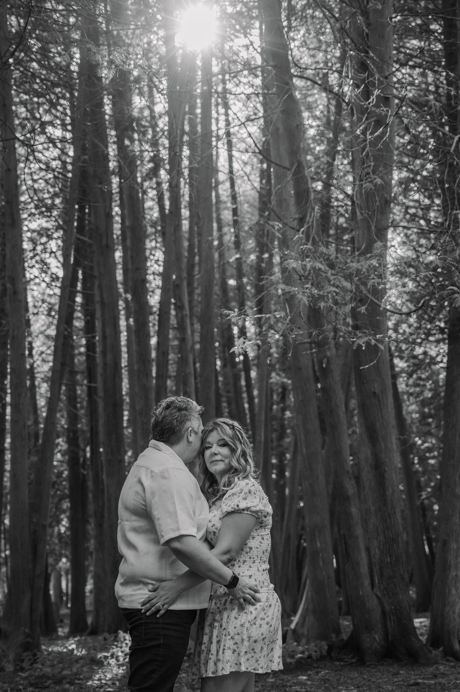 Silhouetted couple enjoying a romantic moment in a sunlit forest setting with tall trees.