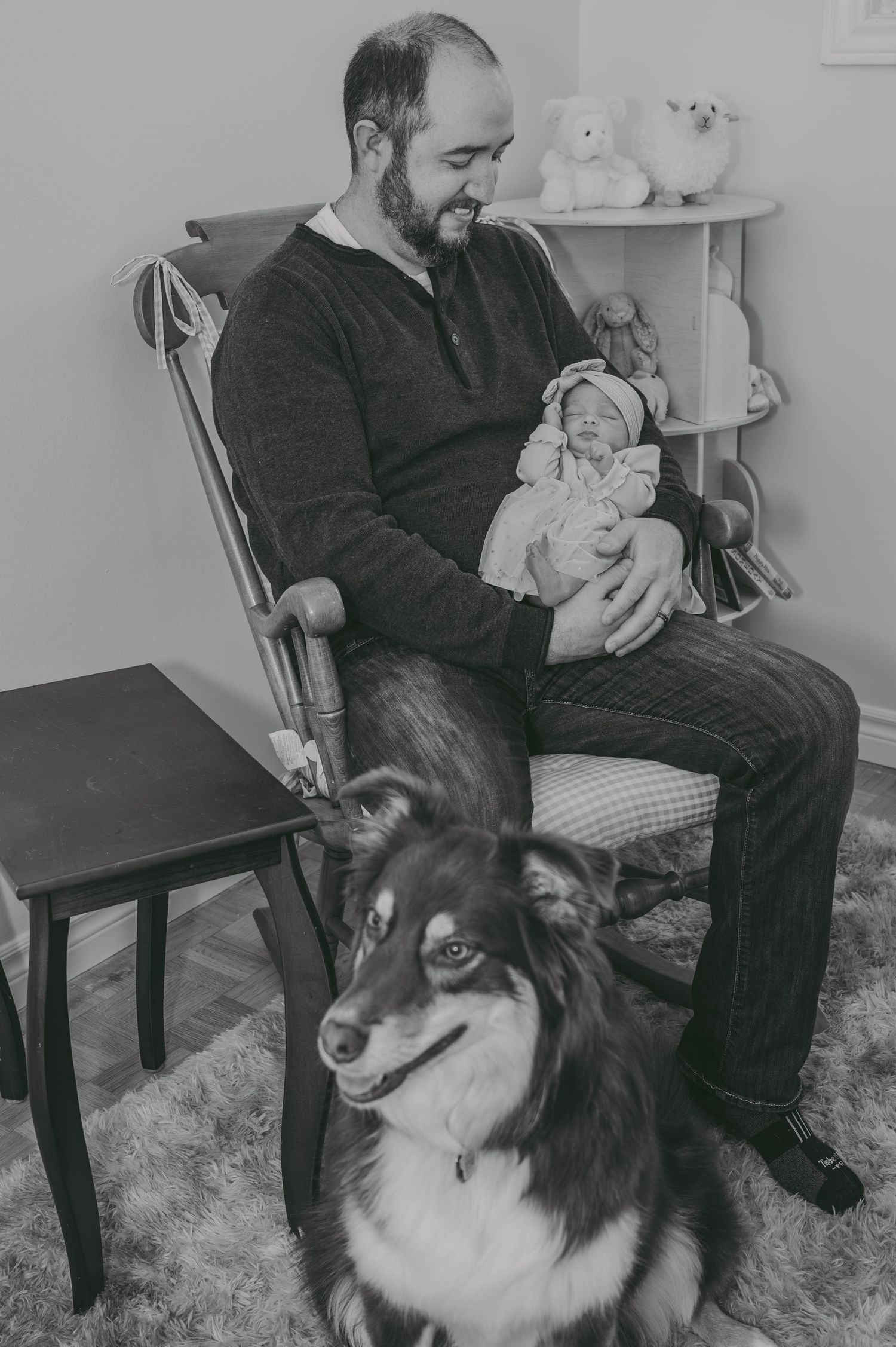 An indoor scene showing a person in dark clothing sitting with a tri-colored dog.