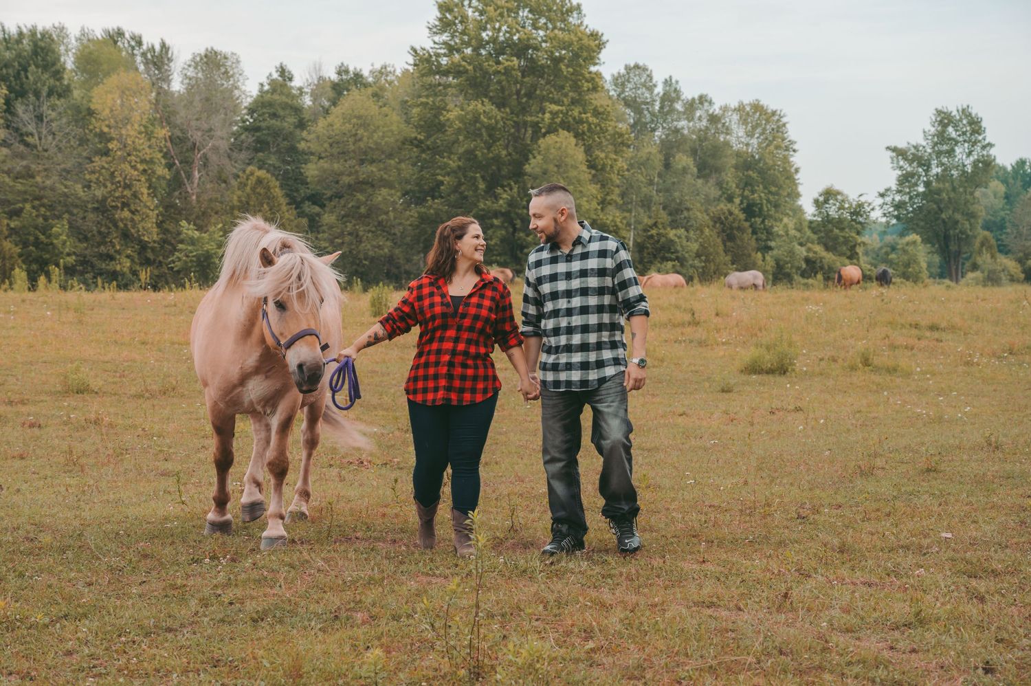 A couple walking with a pink horse in a rural field during autumn.