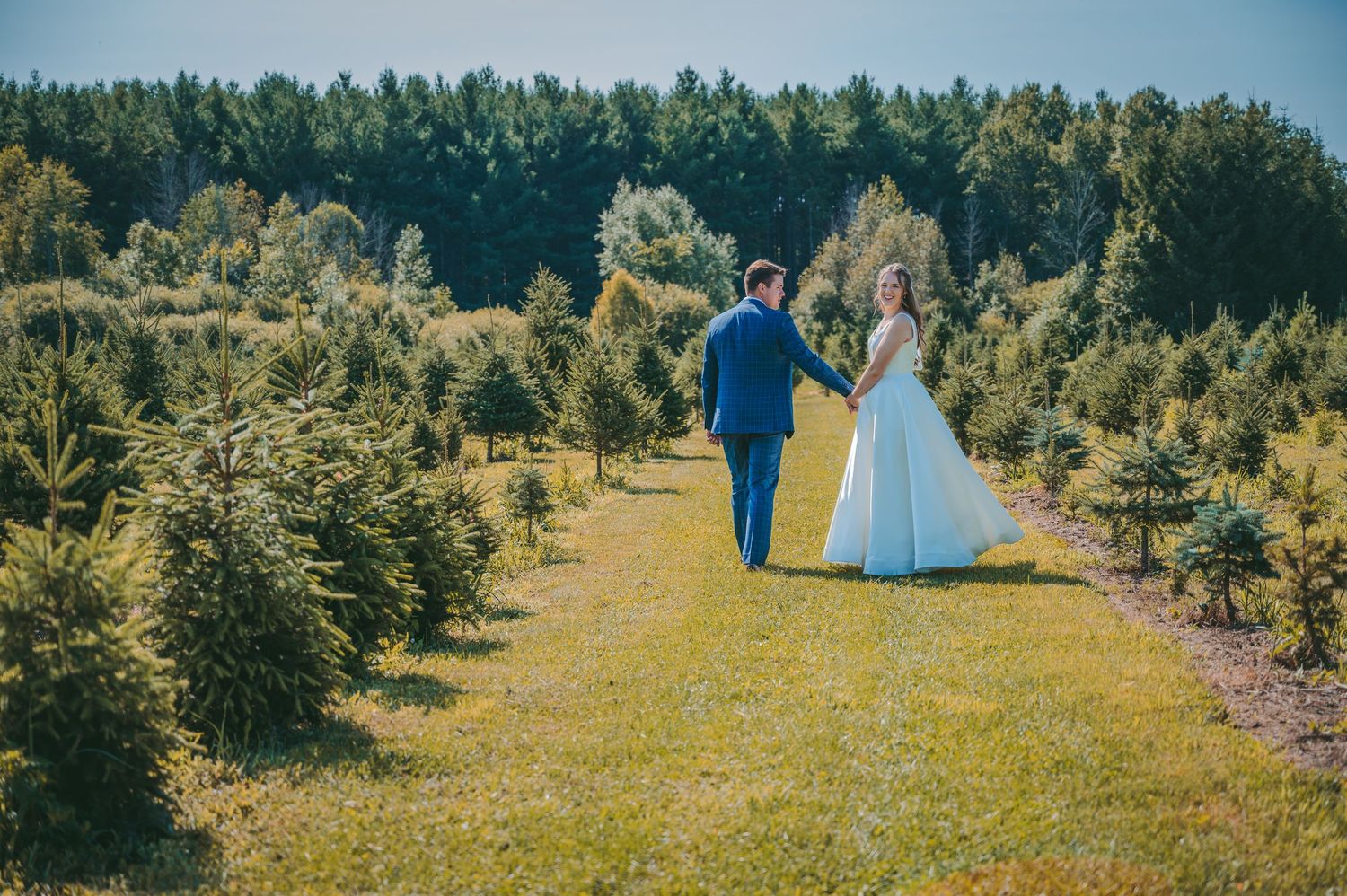 Wedding couple walking down a path among evergreen trees on a sunny day.