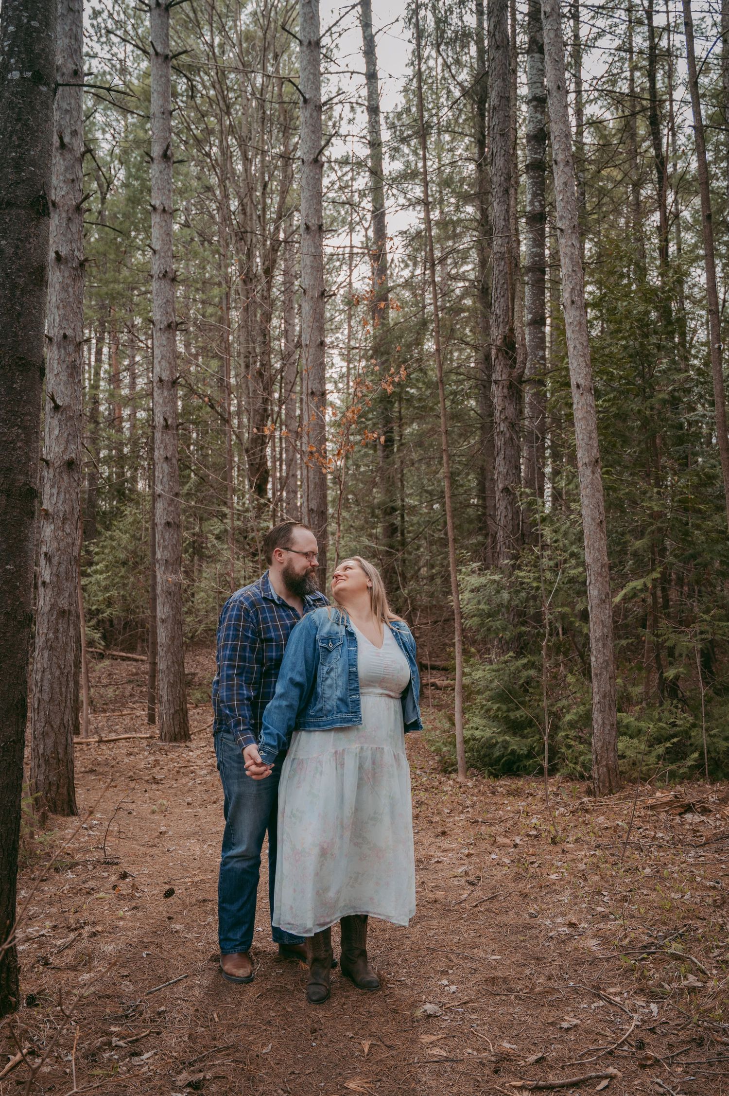 Romantic forest engagement photo with couple standing among towering pine trees.