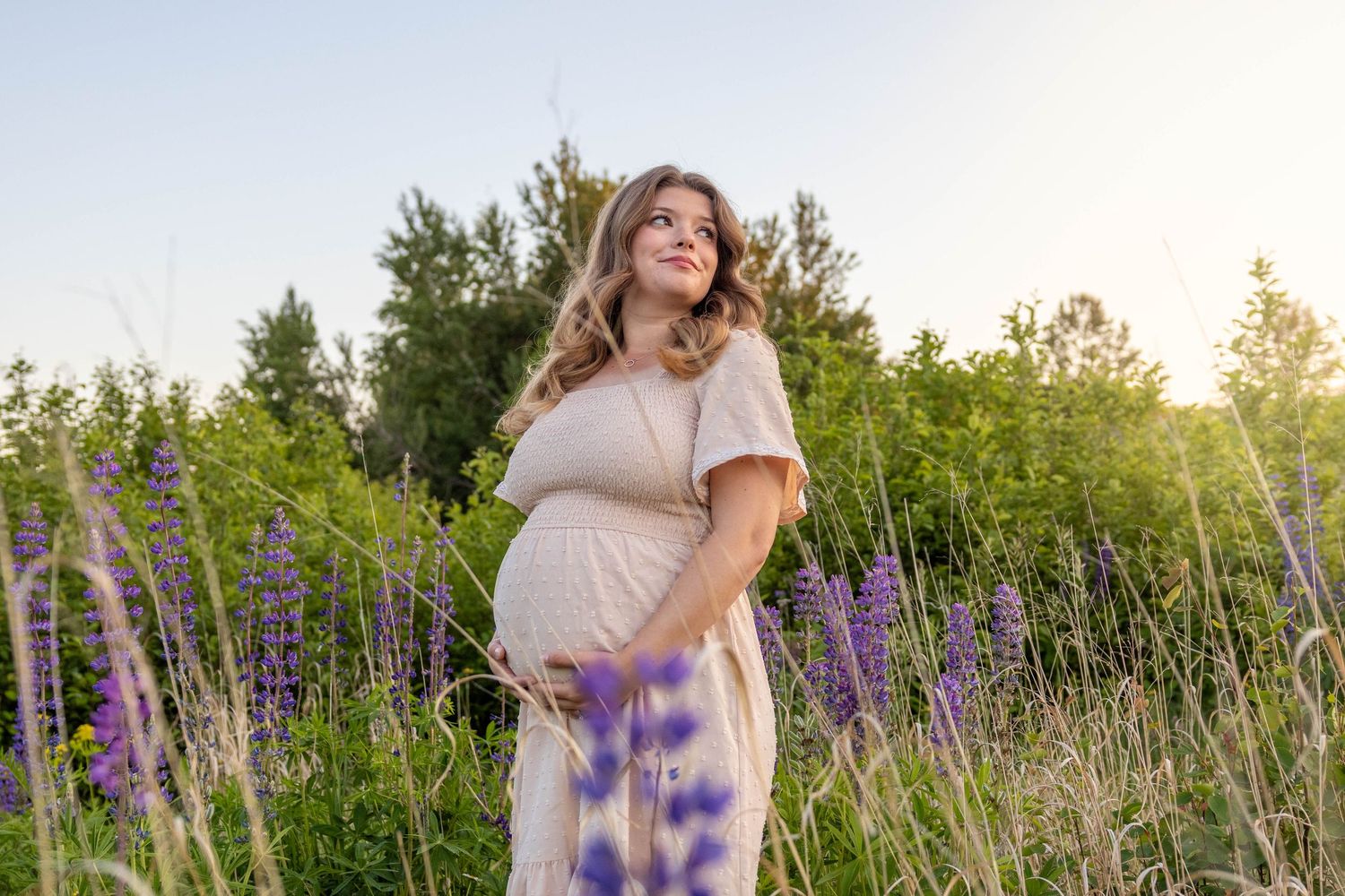 Person stands in a golden sunlit field with vibrant purple lupine flowers during sunset.