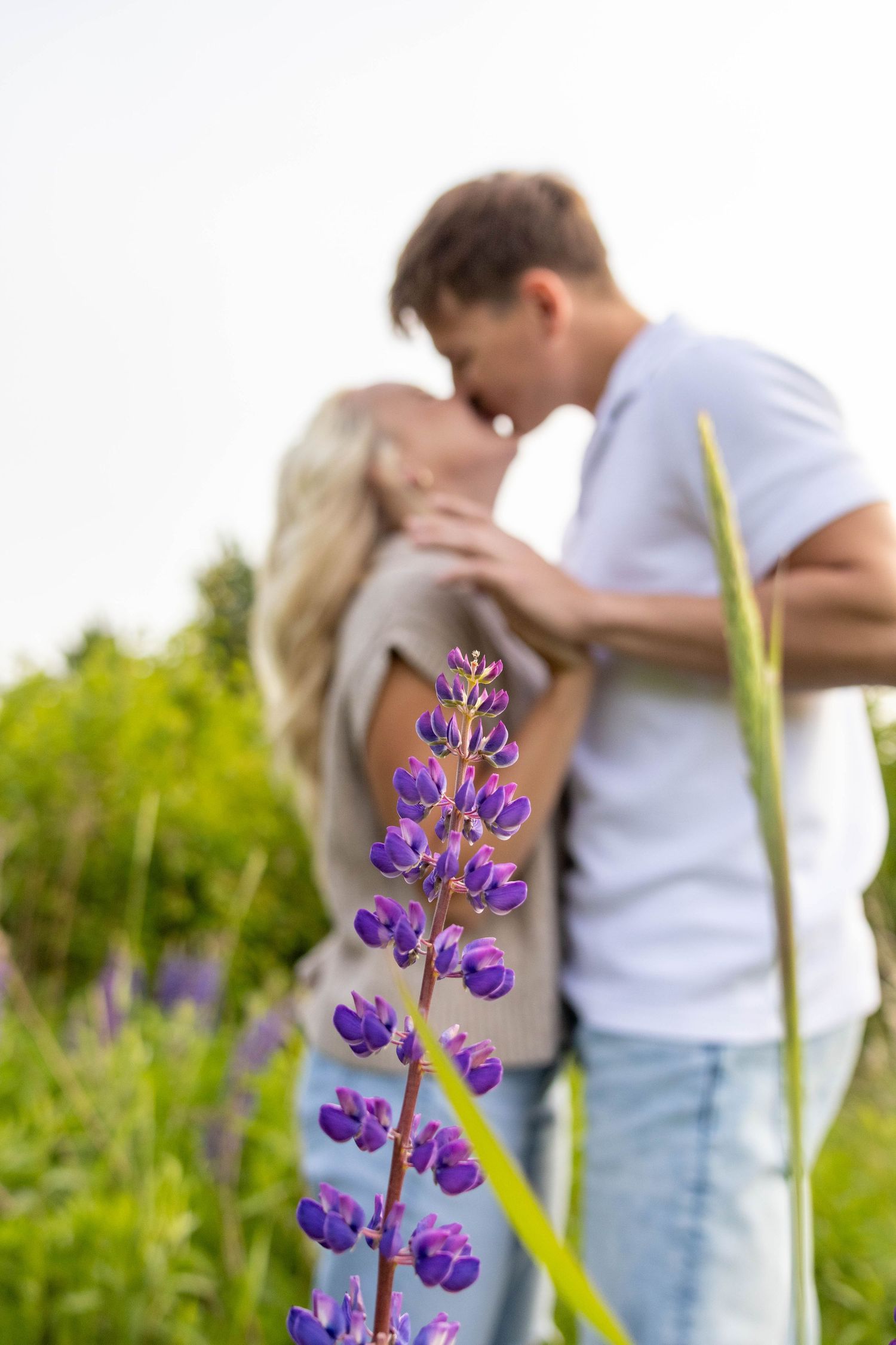 Romantic couple embraces in a meadow with vibrant purple lupine flowers blooming in the foreground.