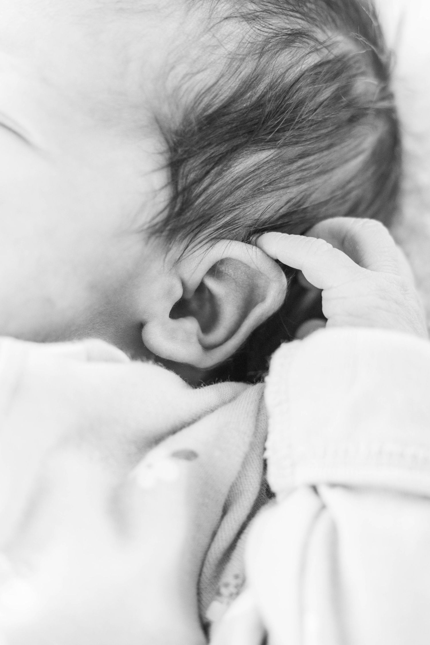 Close-up black and white photo of tiny baby ear and soft skin.