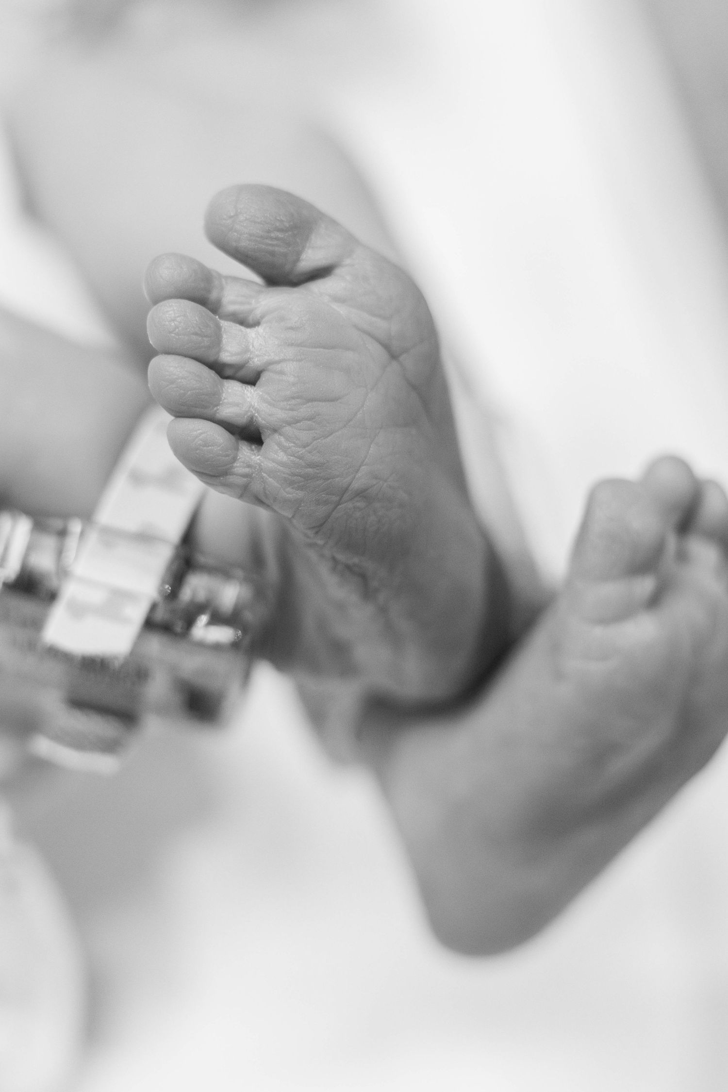 A black and white close-up photograph of tiny newborn baby feet.