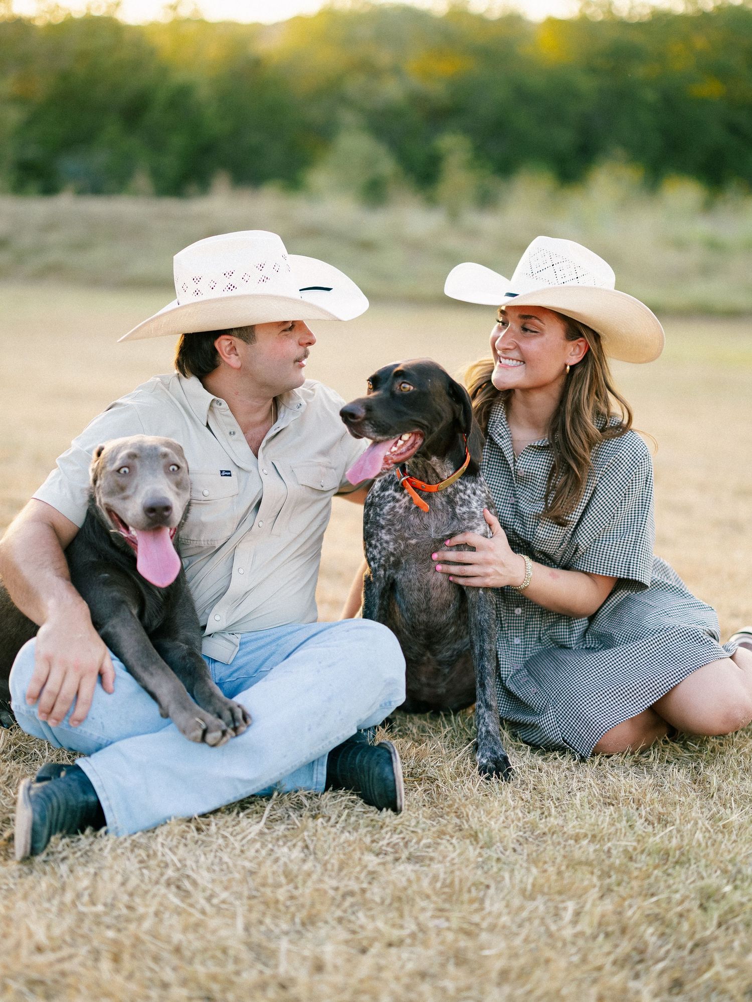Couple in cowboy hats sitting in a field with two dogs, a gray pitbull and a German Shorthaired Pointer.