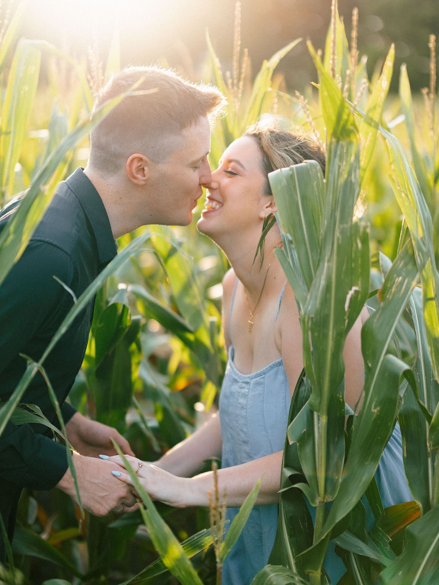 Couple sharing a romantic kiss in a sunlit cornfield, golden hour light glowing behind them.