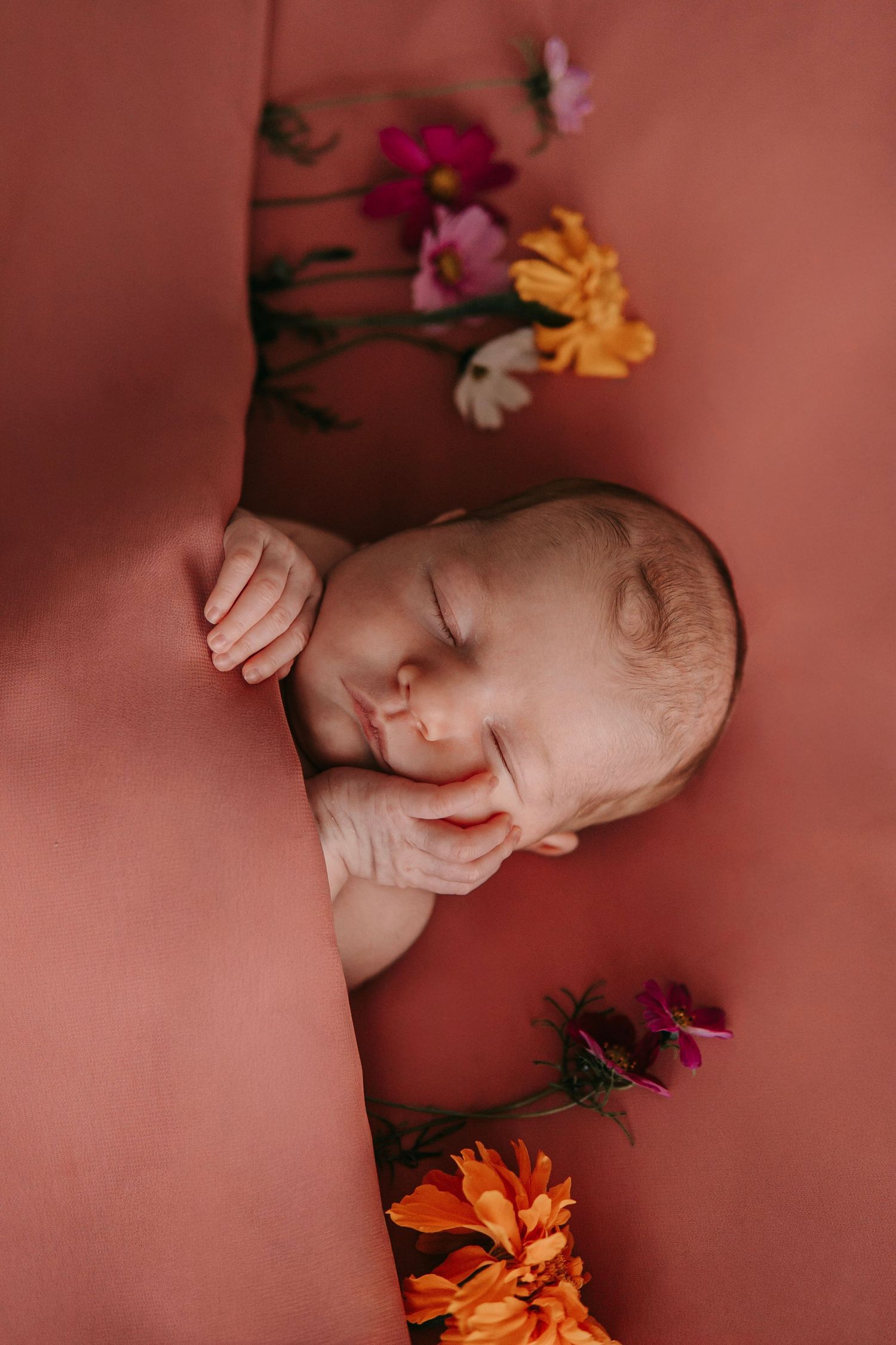Sleeping newborn baby nestled in pink fabric surrounded by colorful flowers in a serene portrait.