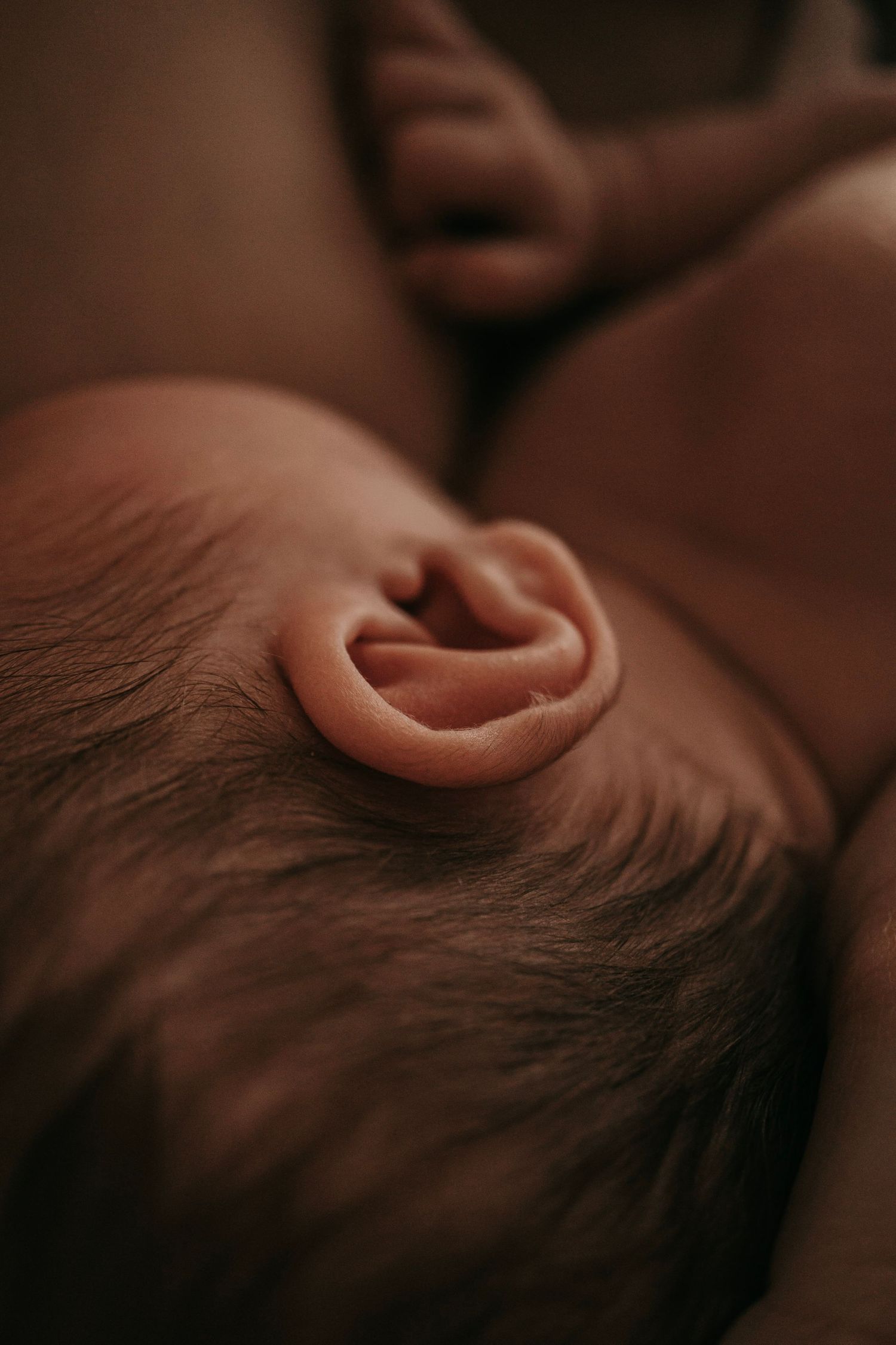 Close-up of a newborn baby's tiny ear with fine dark hair, captured in warm tones.