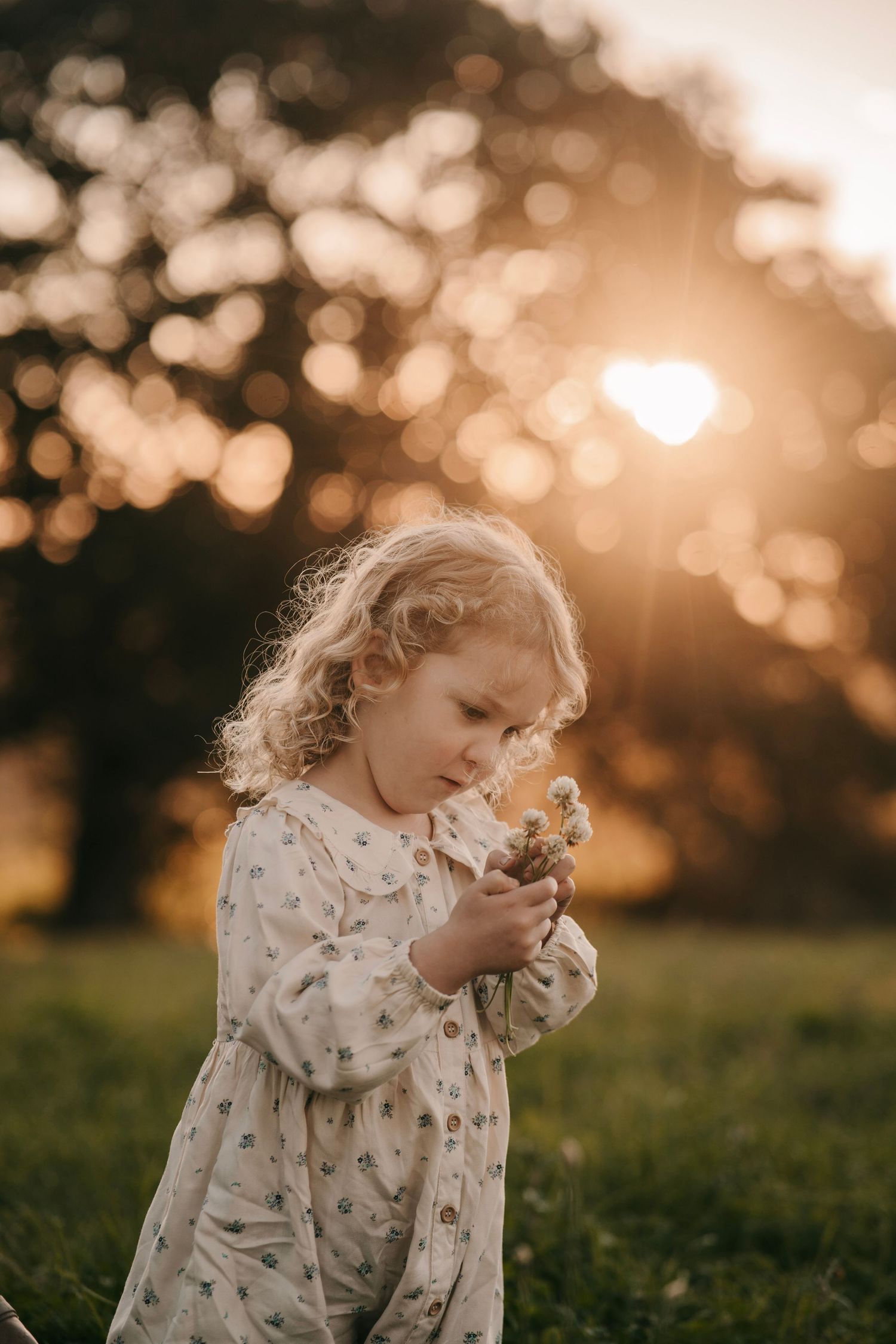 A curly-haired toddler girl in a floral dress holds wildflowers in a sunlit park at sunset.