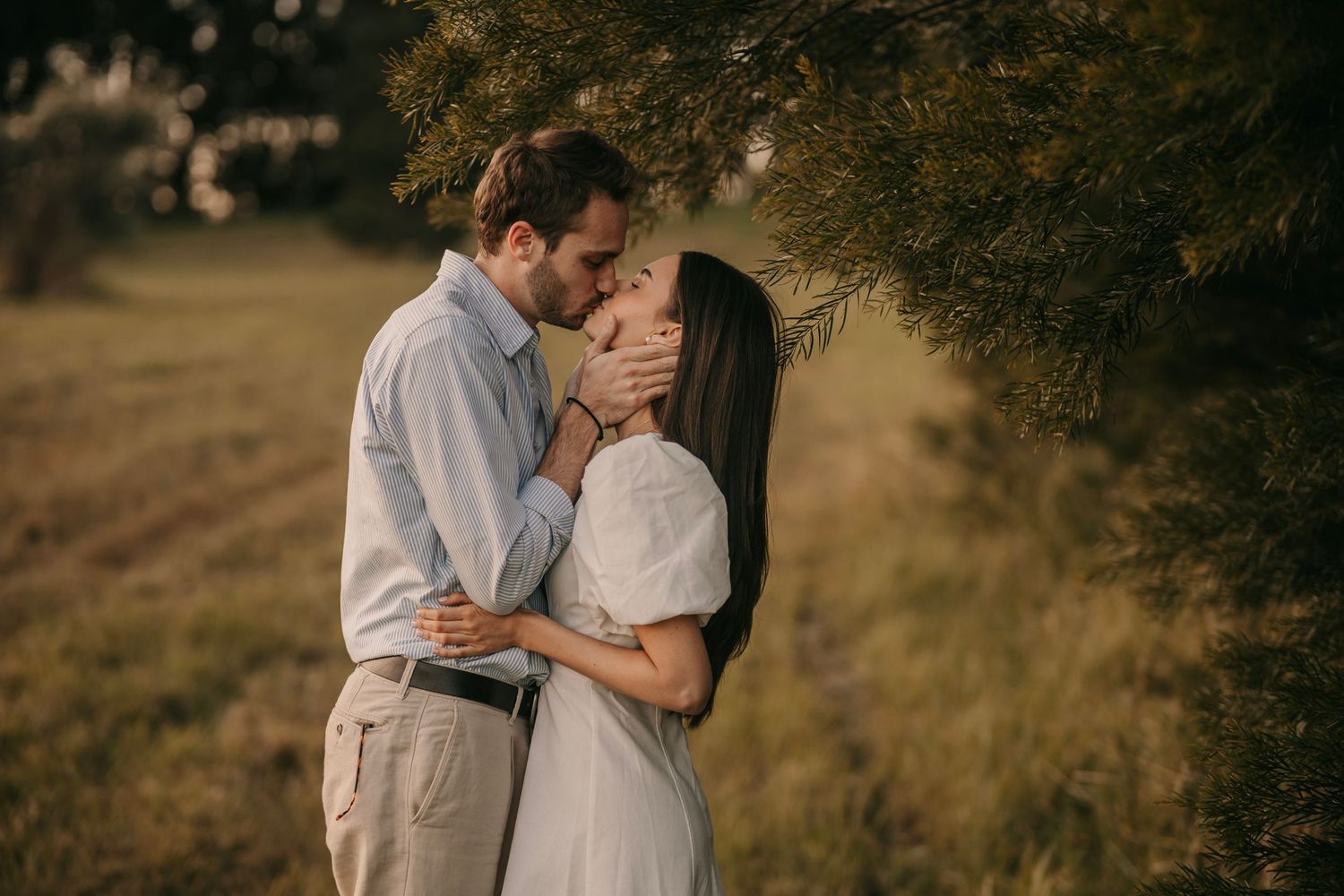 A couple sharing a kiss under pine branches in a warm sunlit outdoor setting.