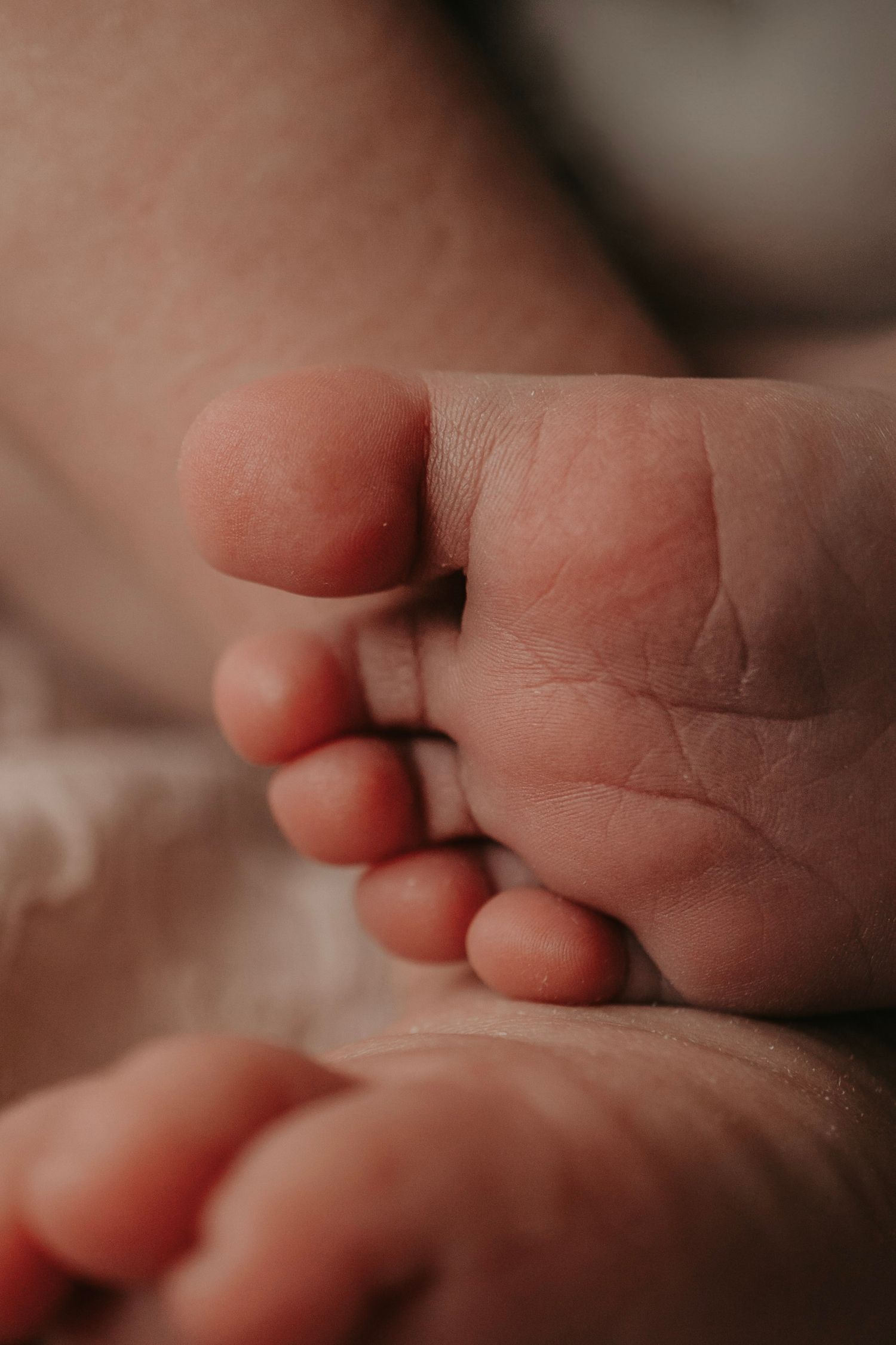 Close-up of tiny newborn baby feet showing delicate toes and soft skin texture.