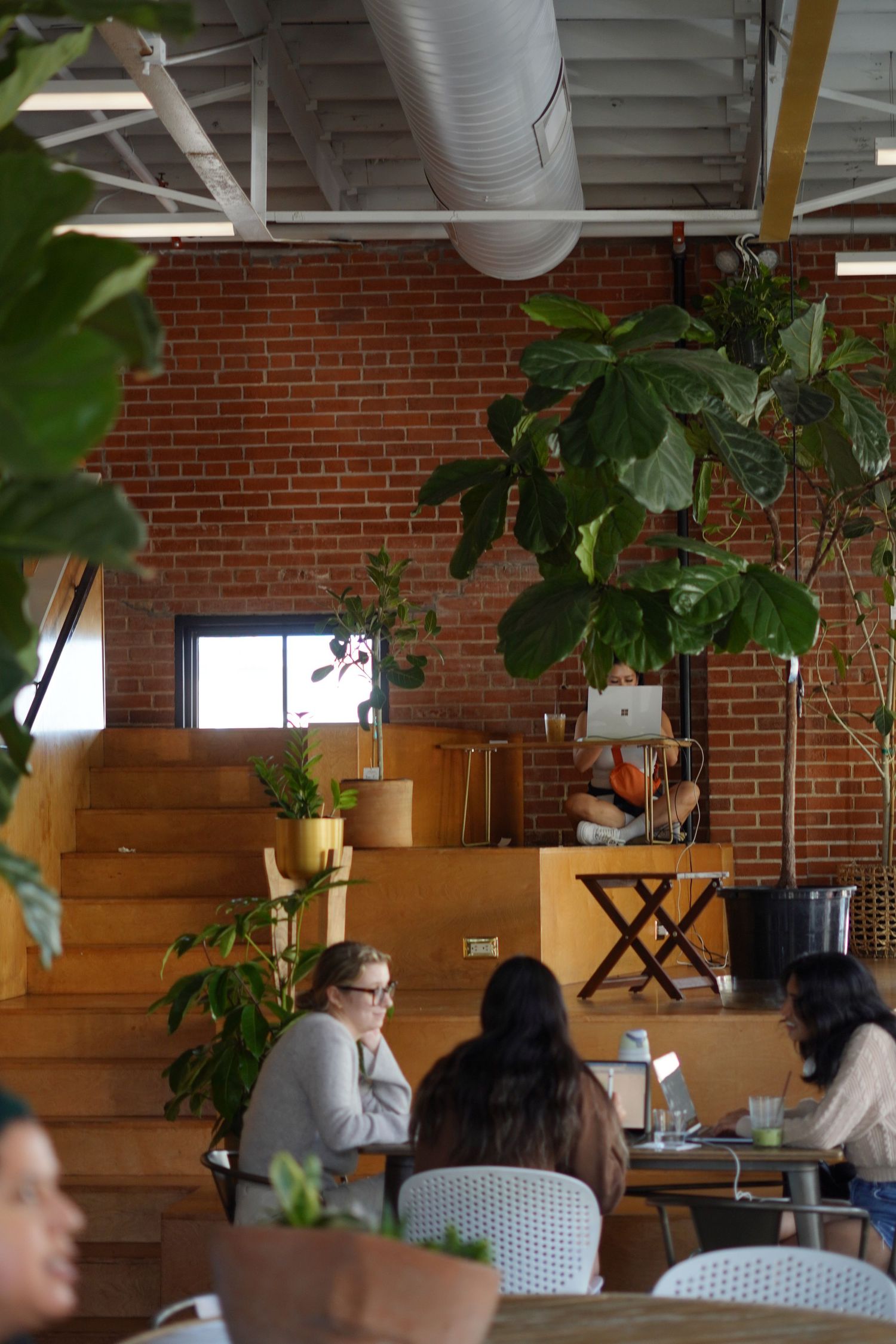 Cafe interior with exposed brick, large plants, and natural light, featuring diners and cozy seating