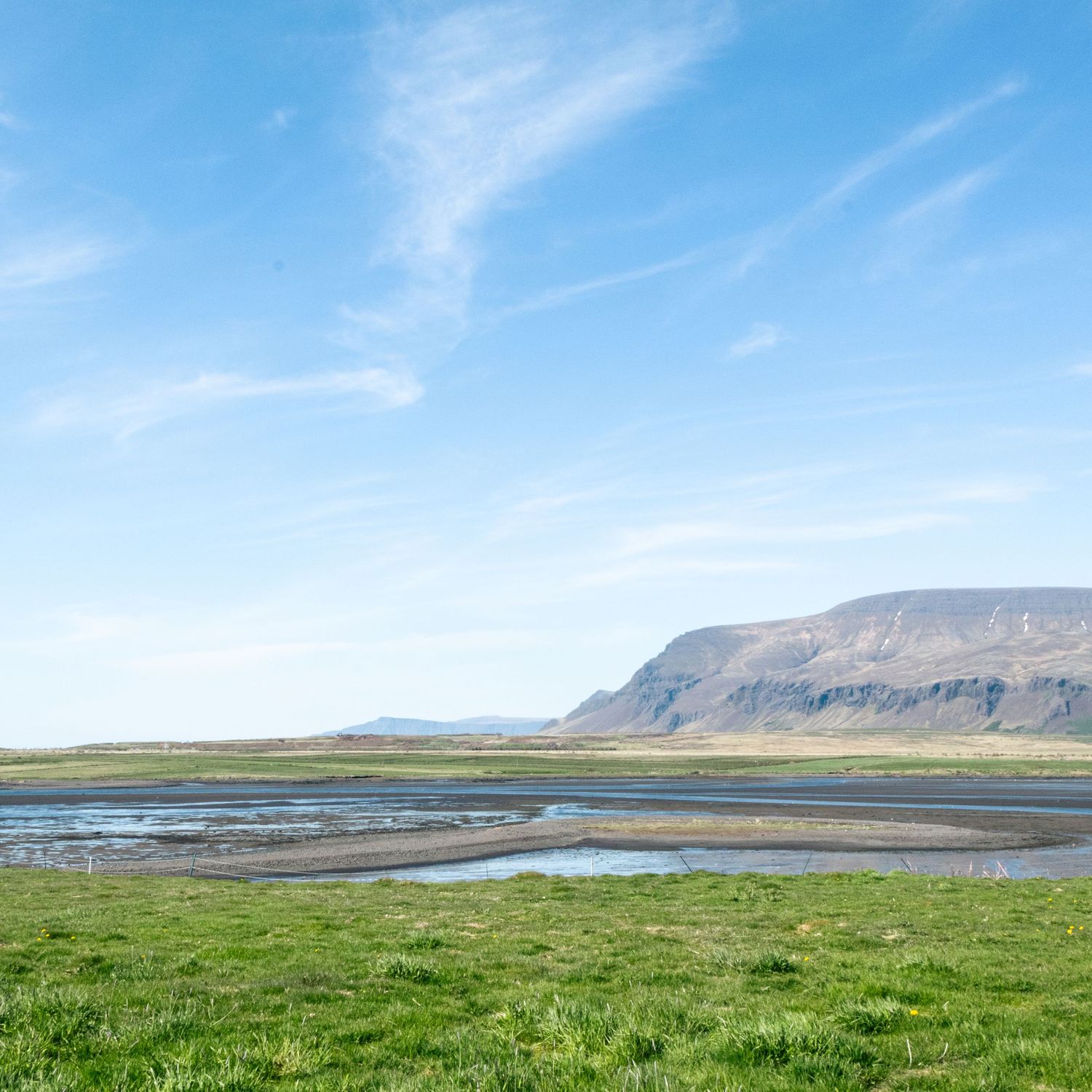 Wide landscape view with blue sky, mountains, and lush green grass in the foreground
