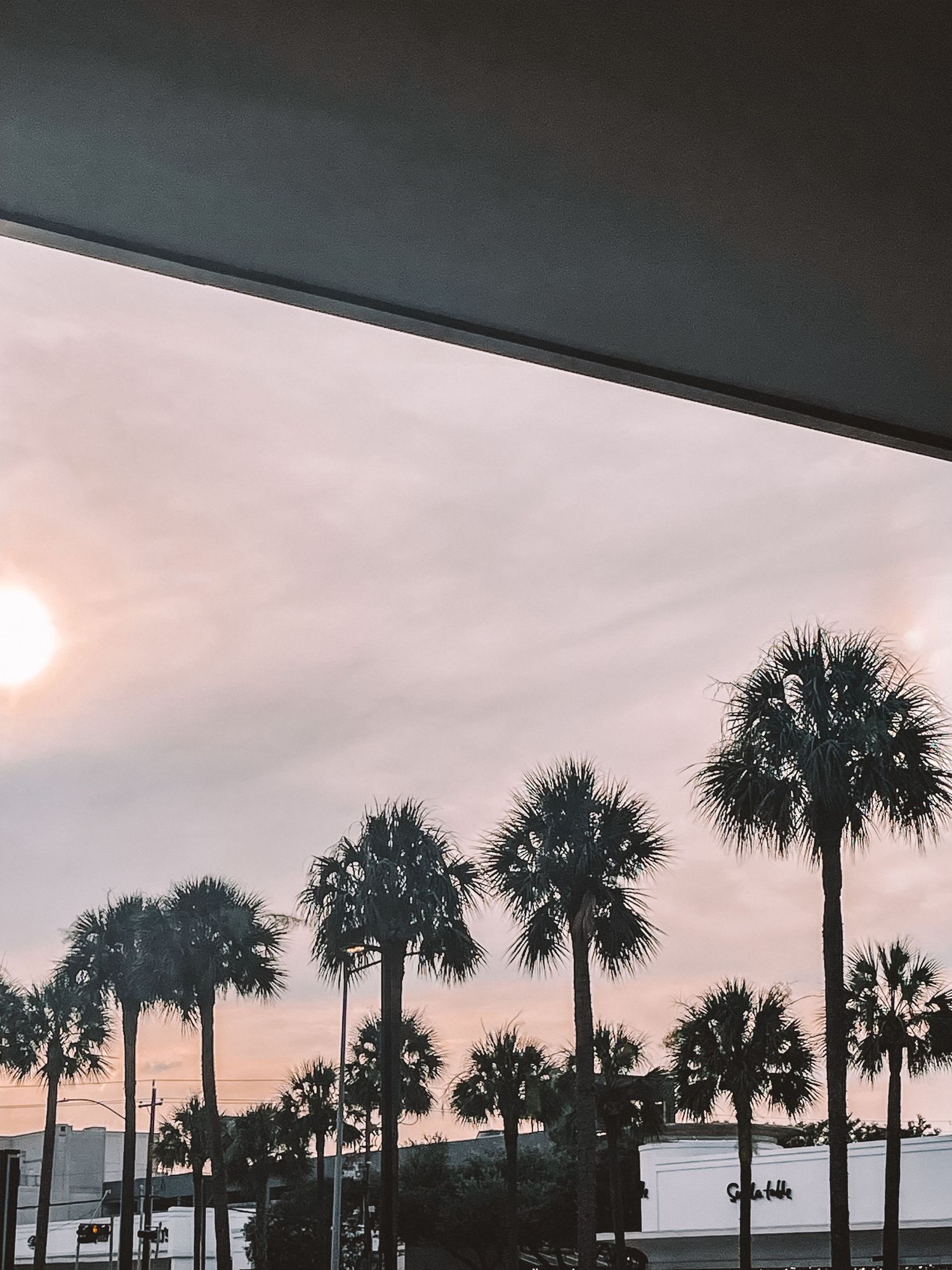 Sunset view of palm trees framed by modern architecture and a pastel sky