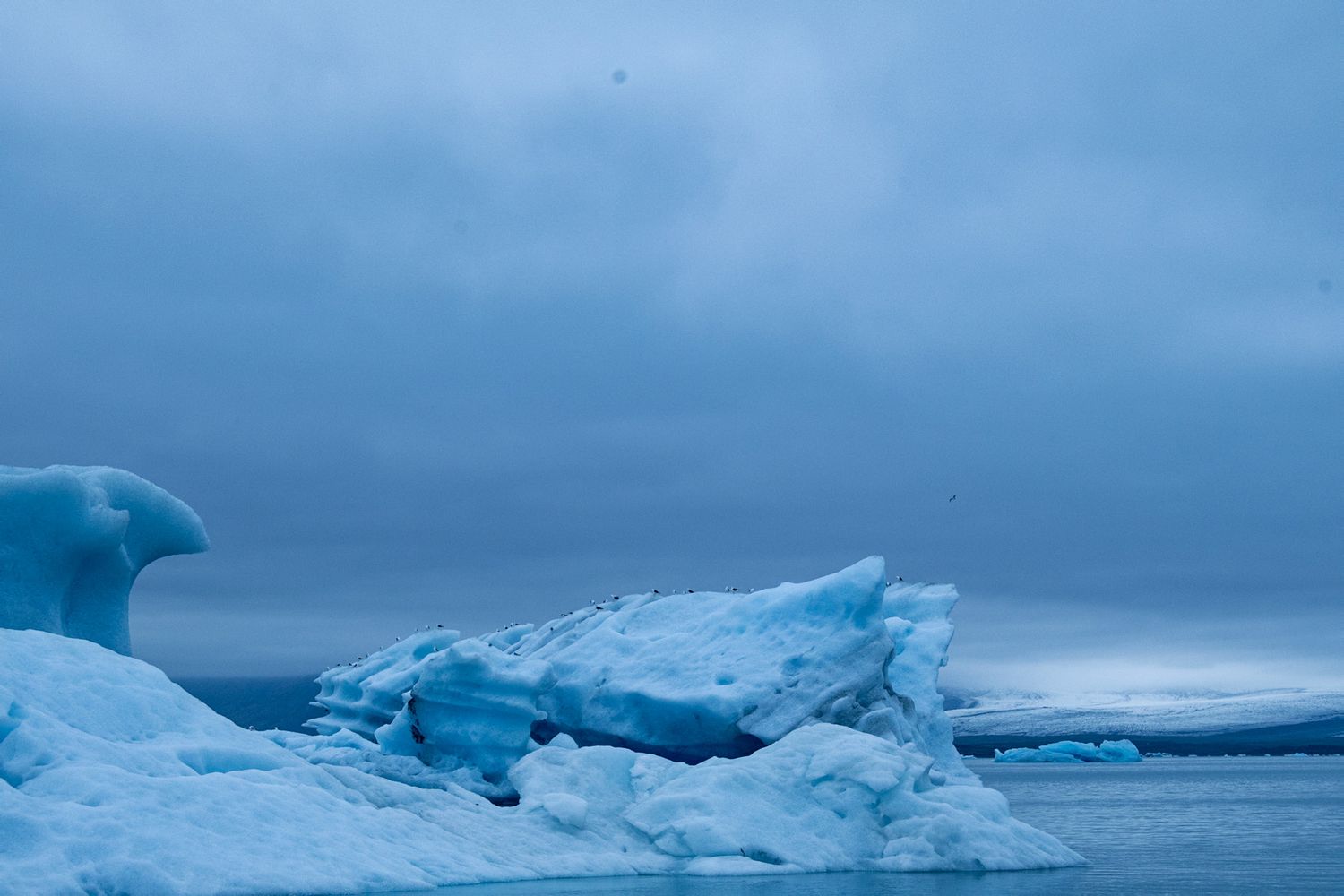 Blue icebergs floating in cold arctic waters beneath a cloudy overcast sky