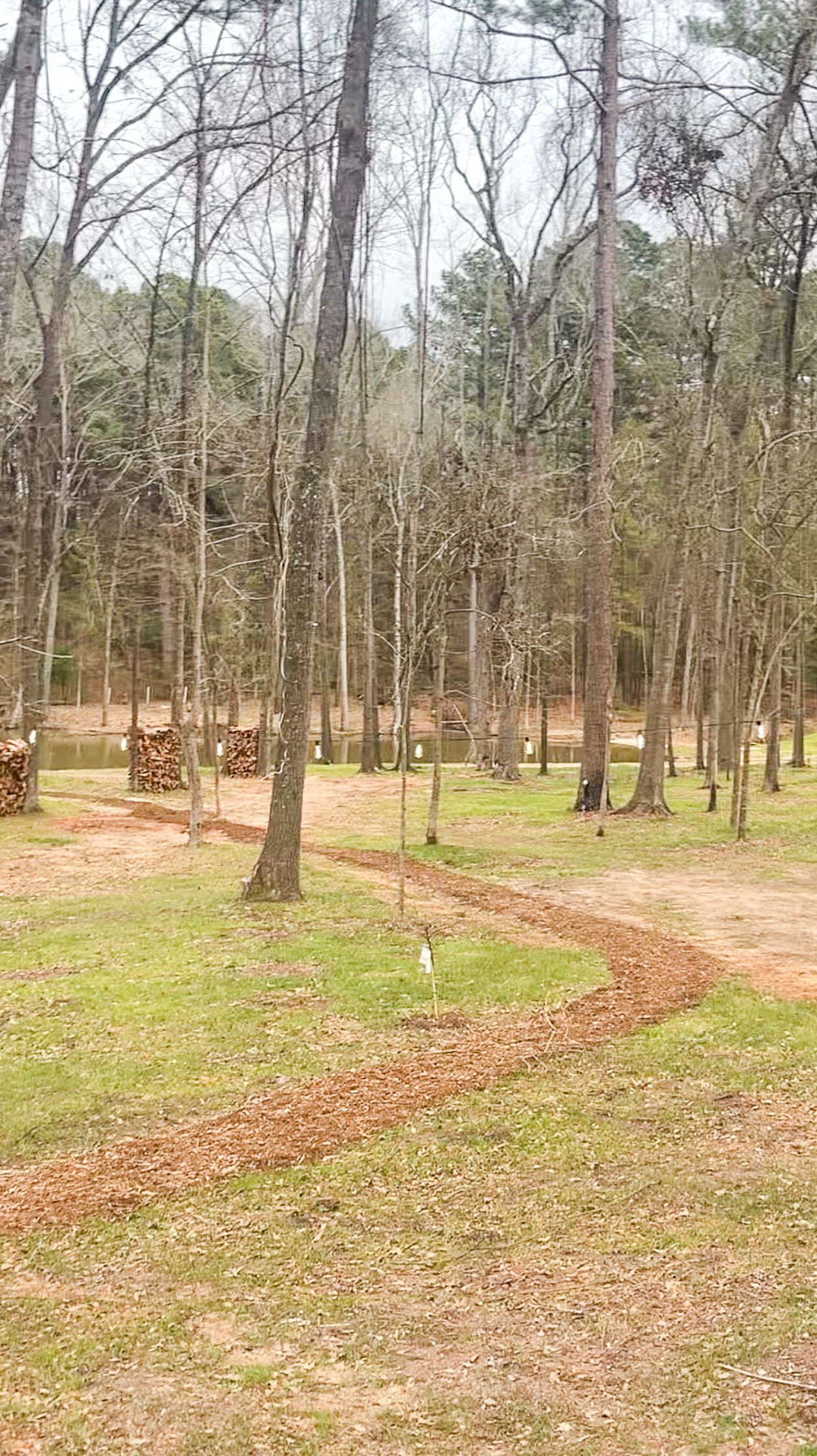 Winding dirt path through wooded park with tall bare trees and open grassy space