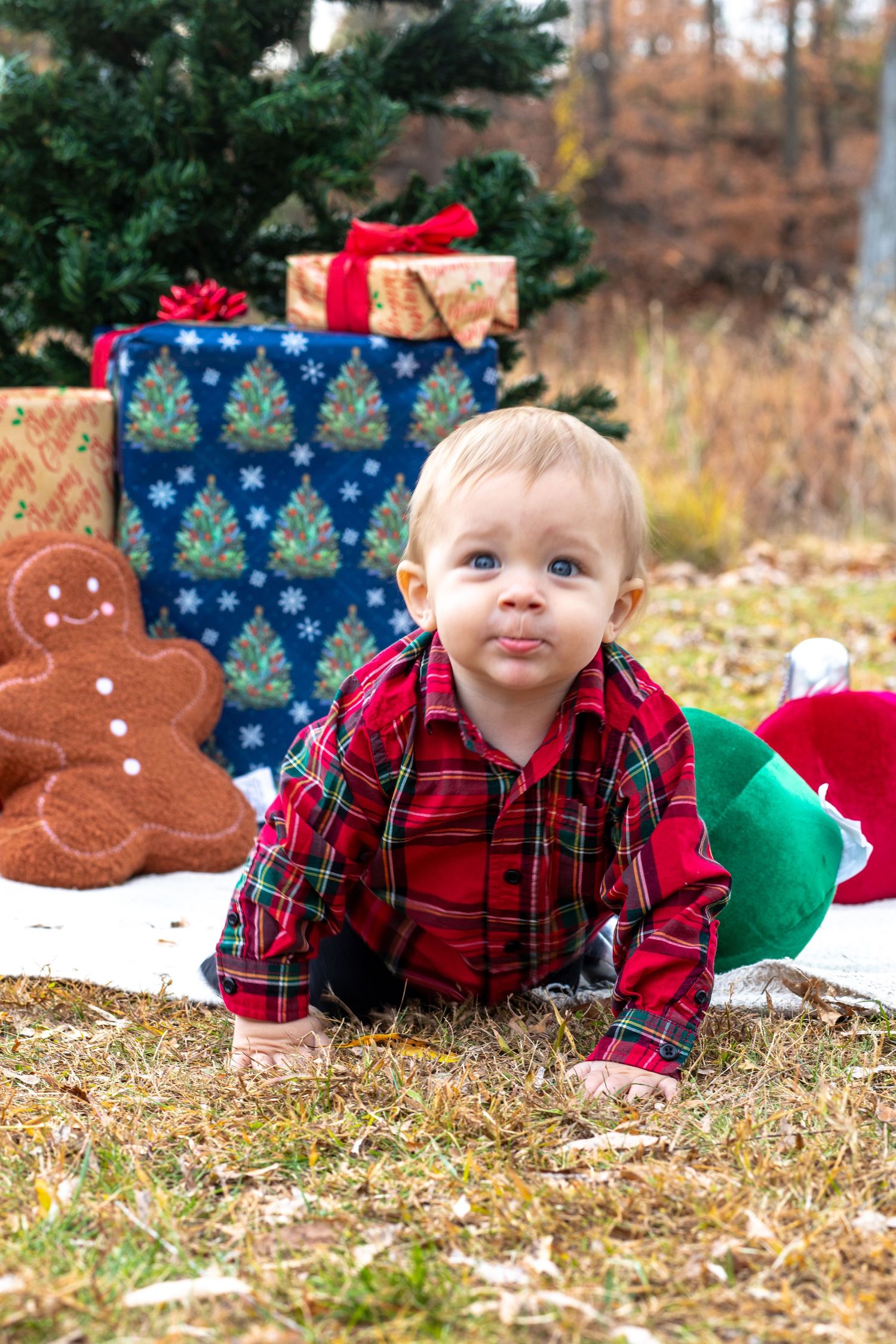 Baby in red plaid shirt crawling near Christmas presents and gingerbread decorations.