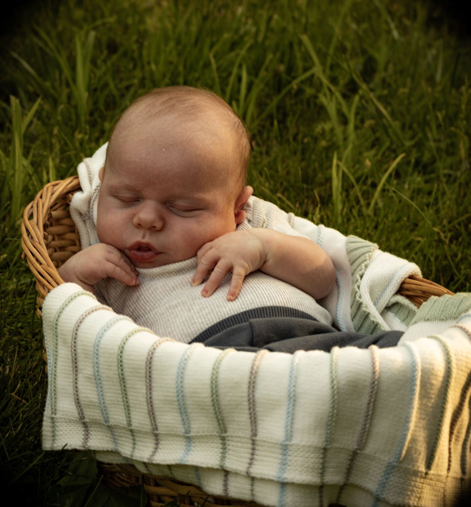 A cozy photo of a newborn baby sleeping in a basket in a field