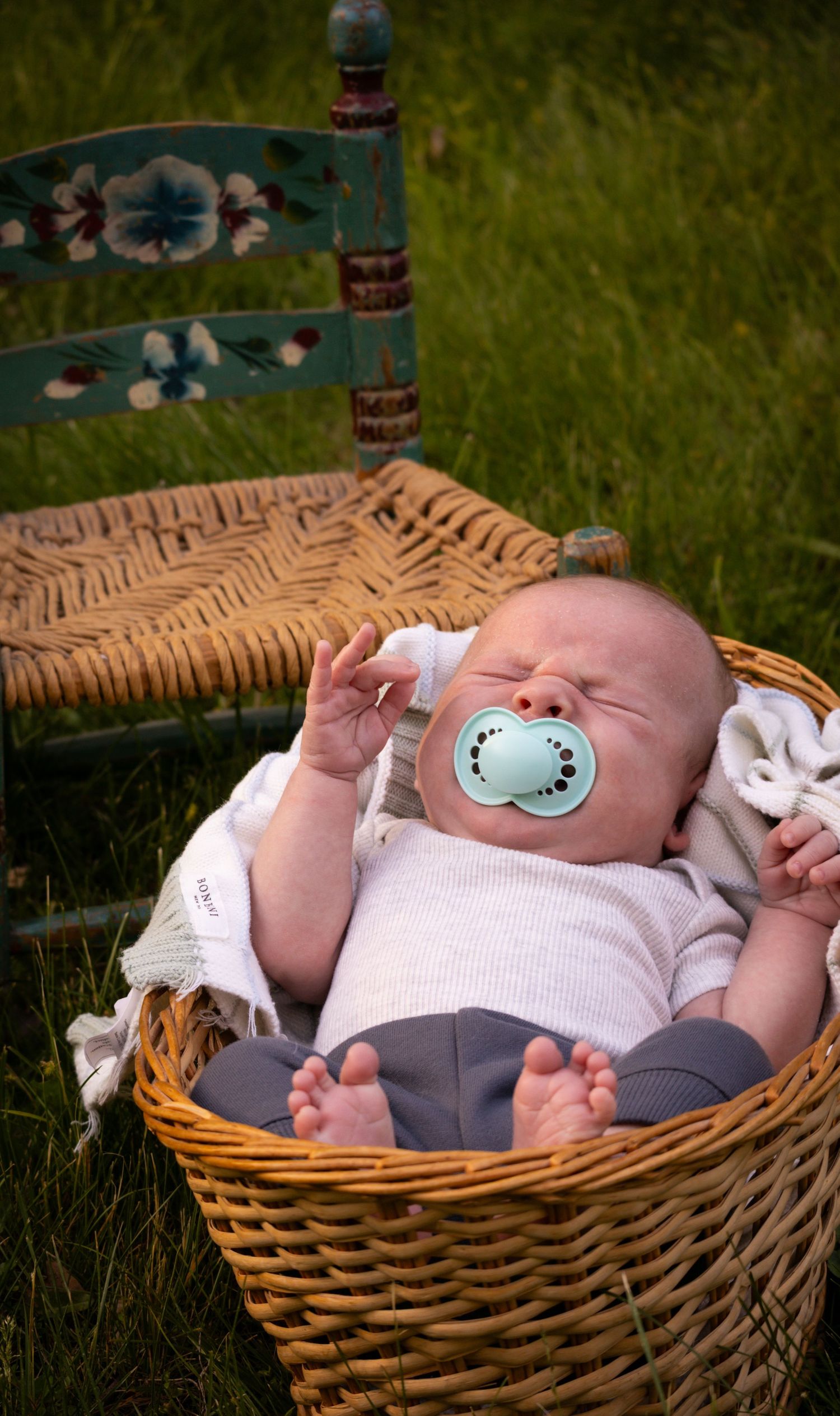 A cozy photo of a newborn baby sleeping in a basket in a field