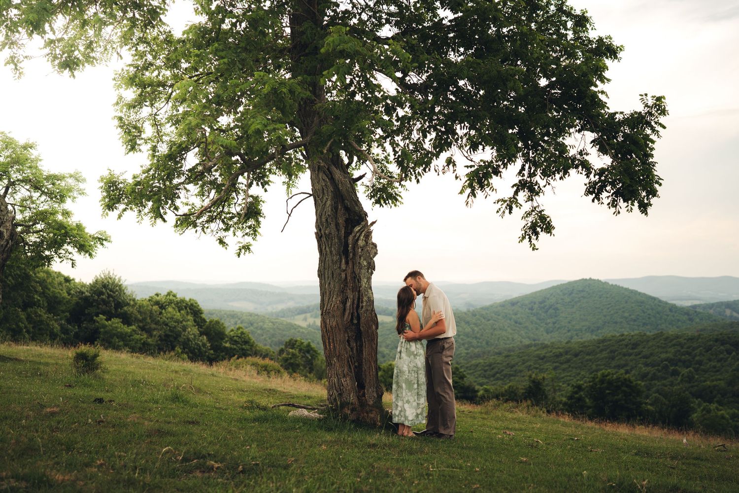 Couple kissing under a large tree on a scenic hilltop with rolling green mountains in the background.