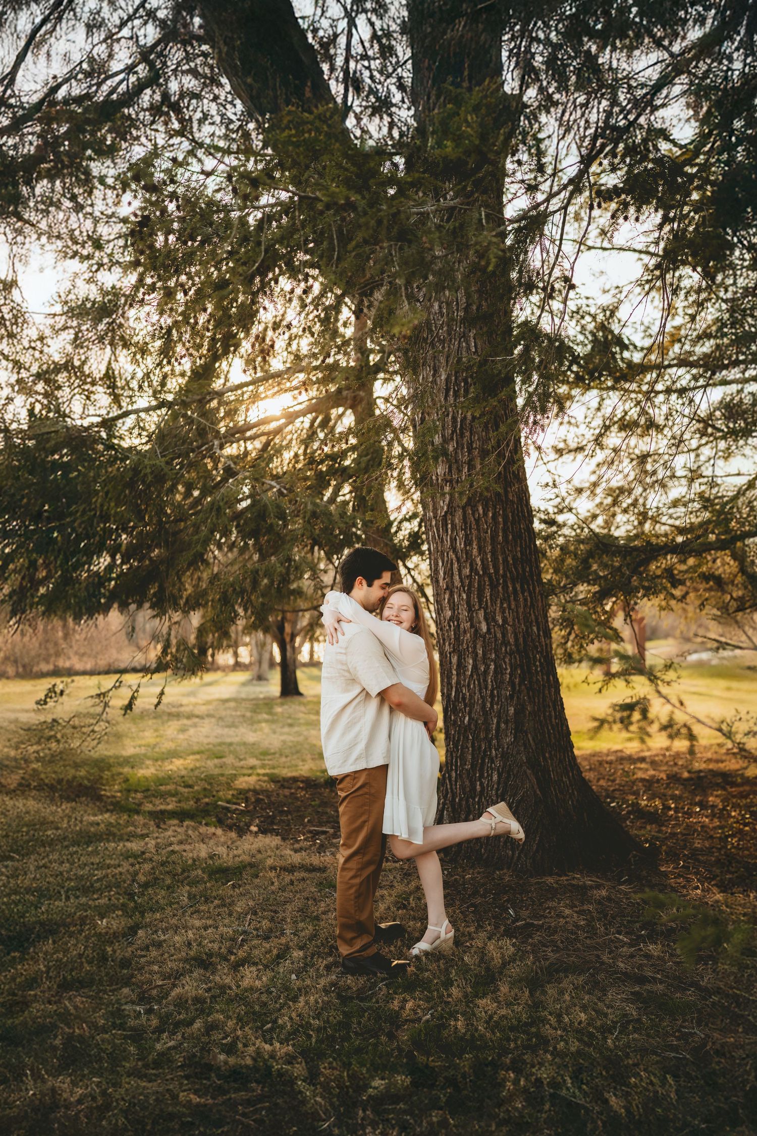 A couple shares a romantic embrace under a large pine tree bathed in warm golden sunset light.