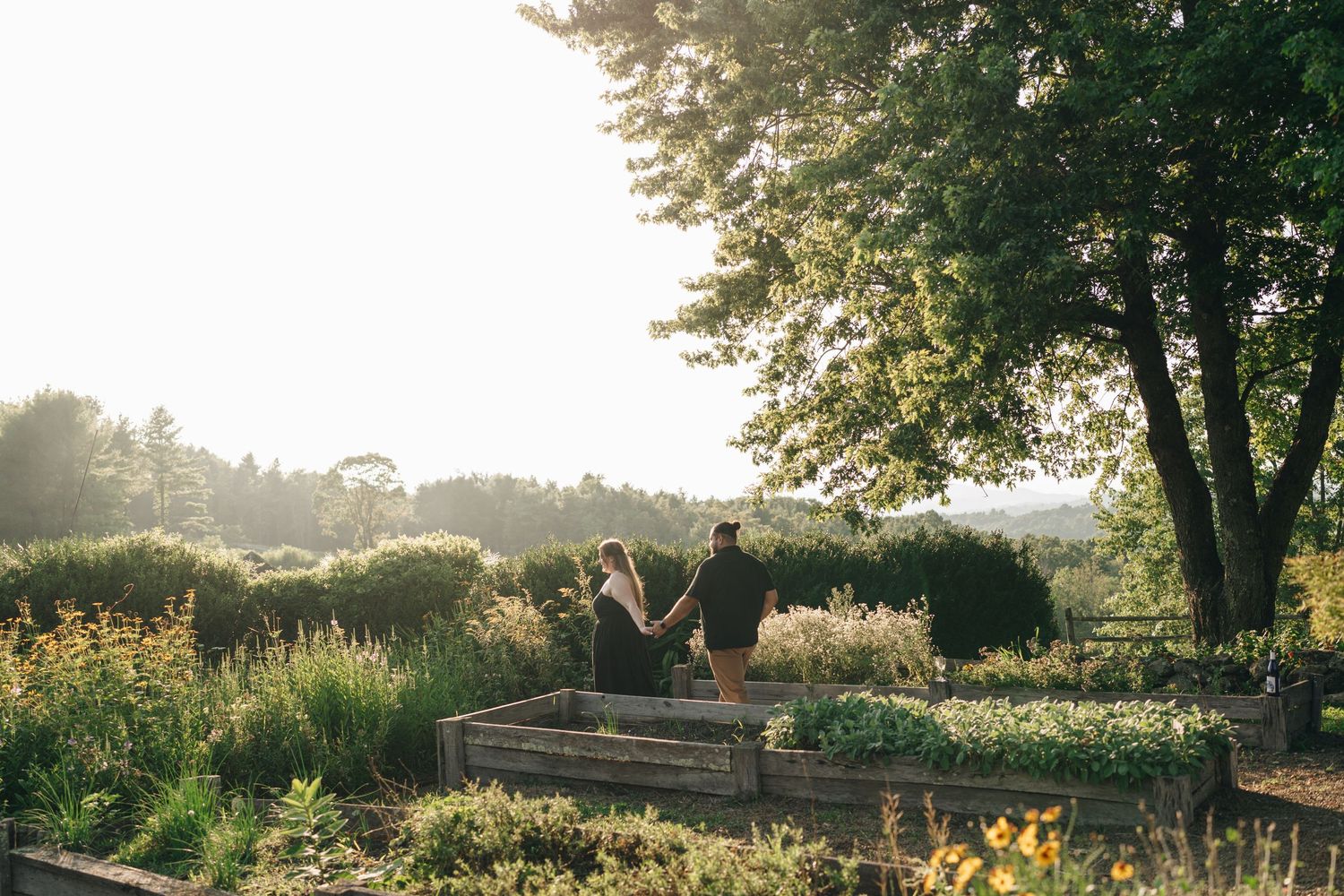 Couple holding hands walking through lush garden beds at golden hour with trees and open sky.