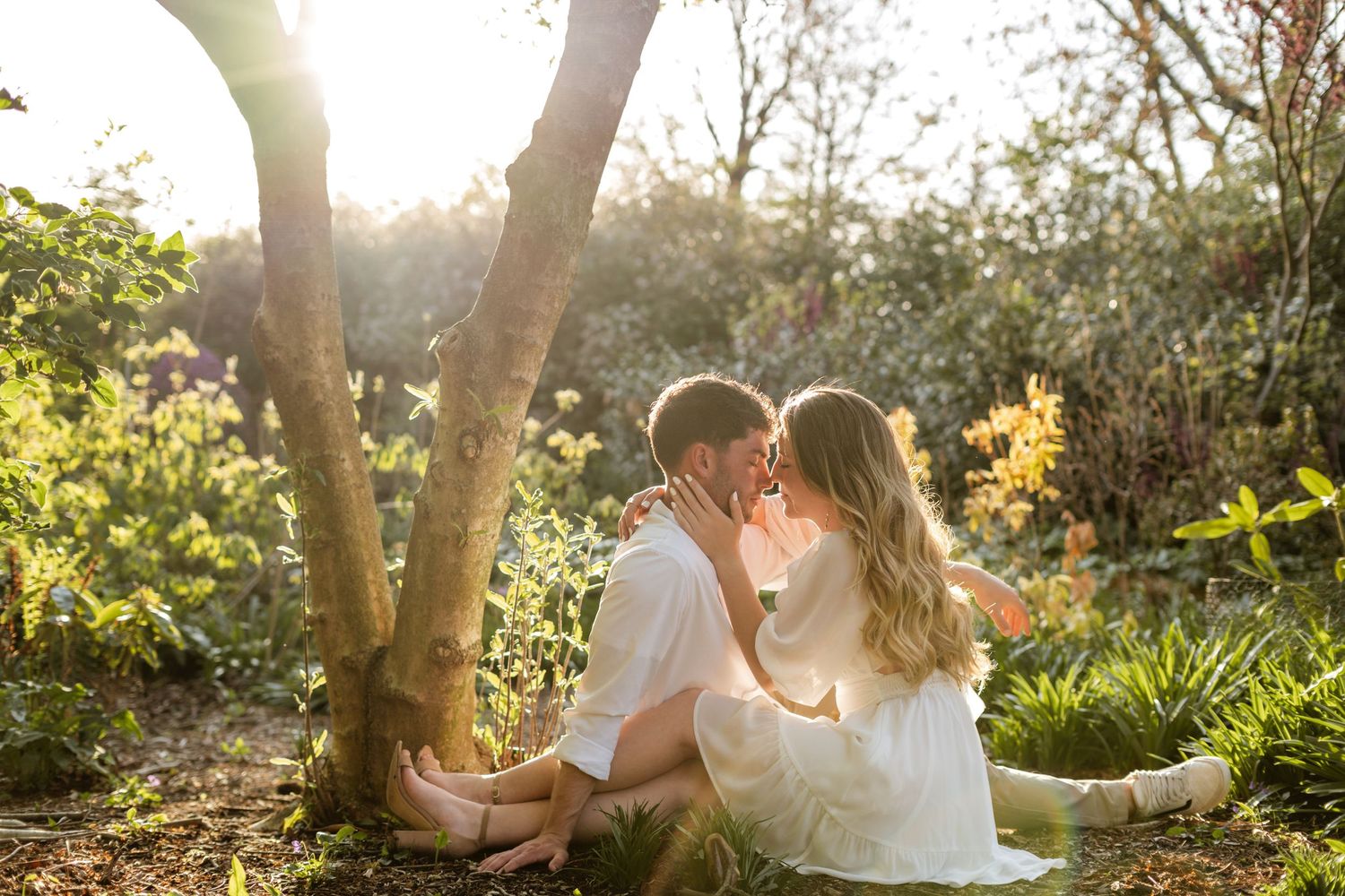 Couple sitting under a tree sharing a kiss in a golden sunlit garden surrounded by colorful flowers.