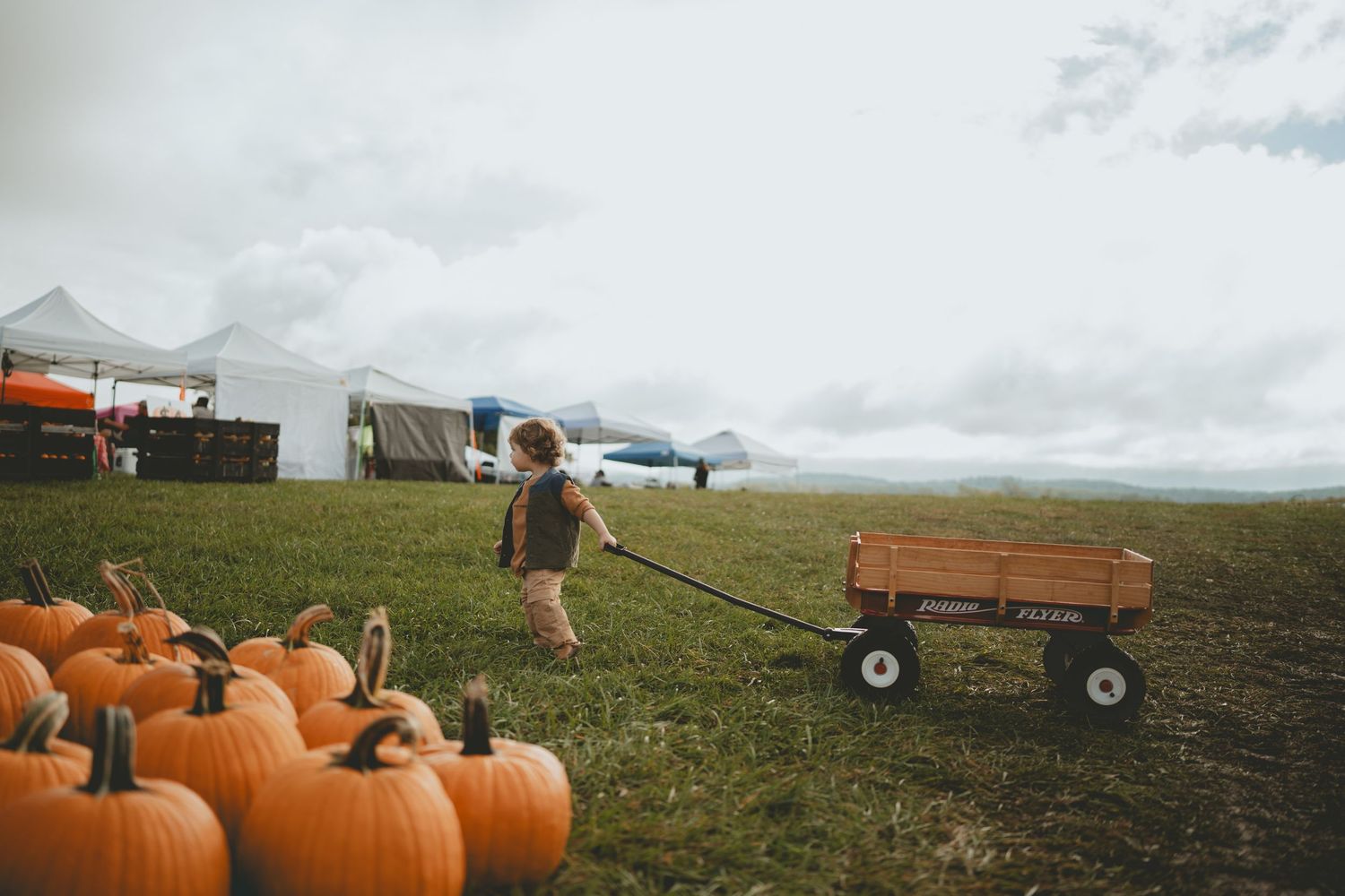Young child pulling a red wagon past rows of orange pumpkins at an autumn pumpkin patch.
