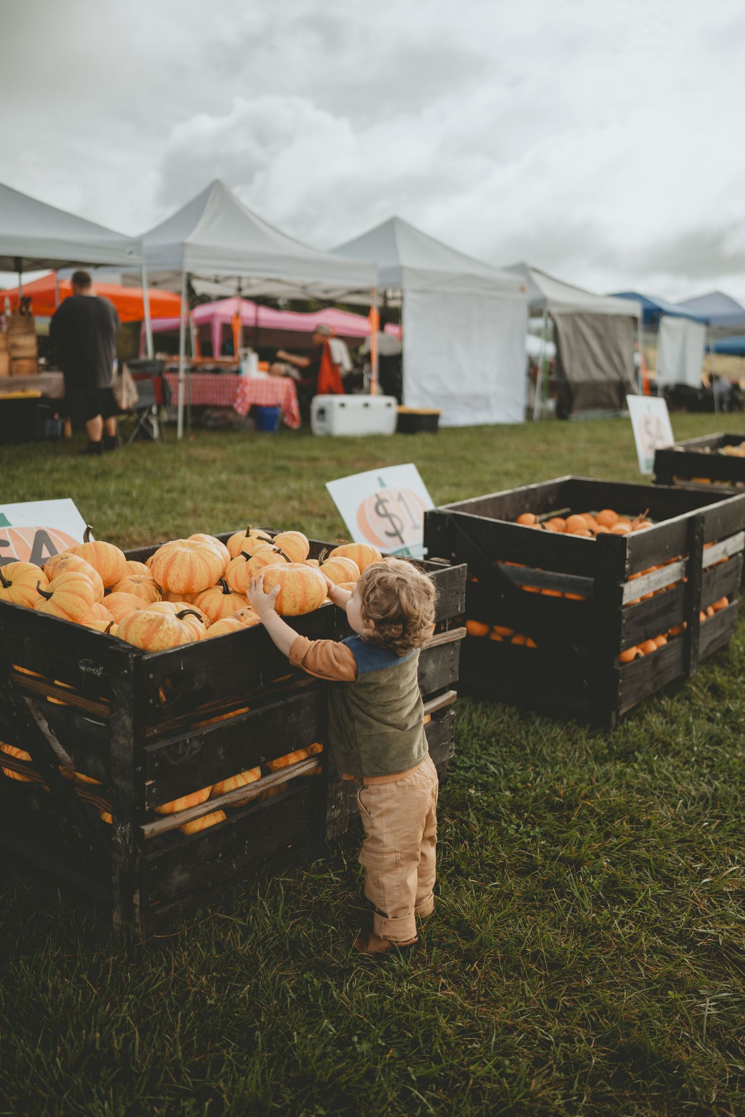Toddler reaching into wooden crates of small pumpkins at an outdoor autumn farmers market.